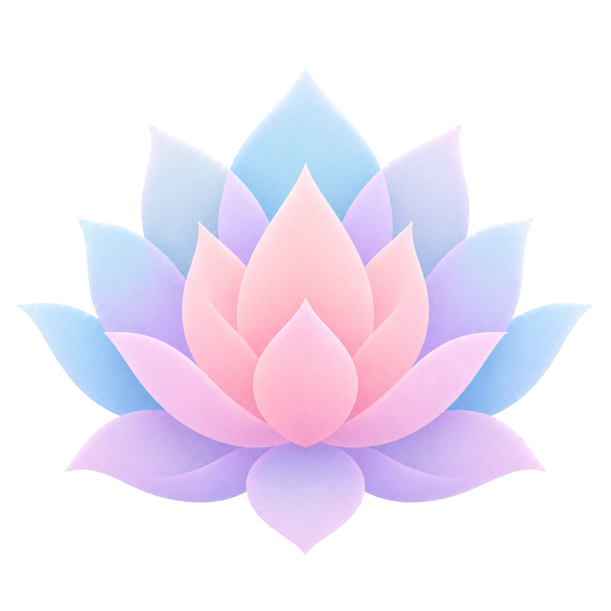 Illustration of a colorful lotus flower with pink, purple, and blue petals.