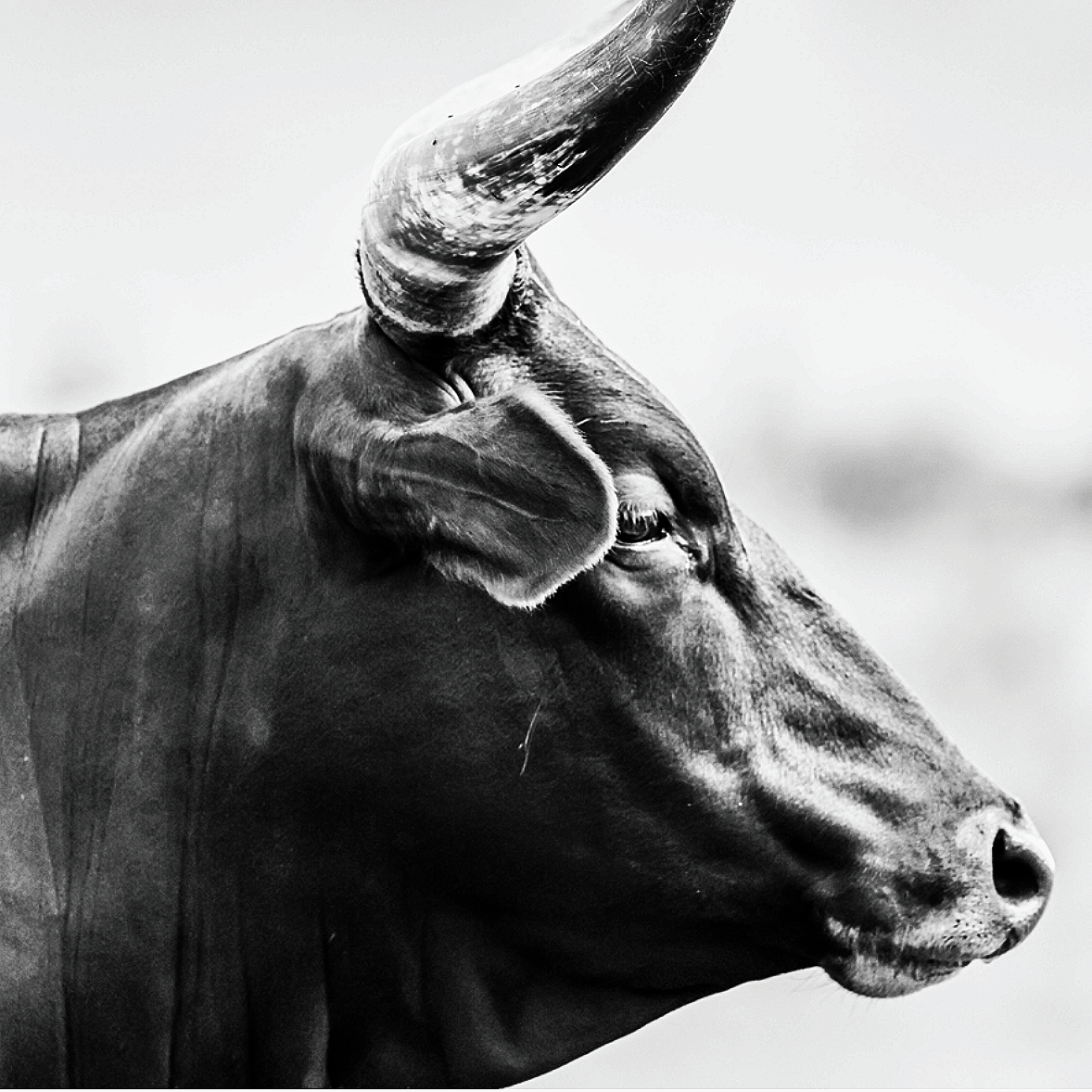 2026 Outlook - Responsibly Bullish