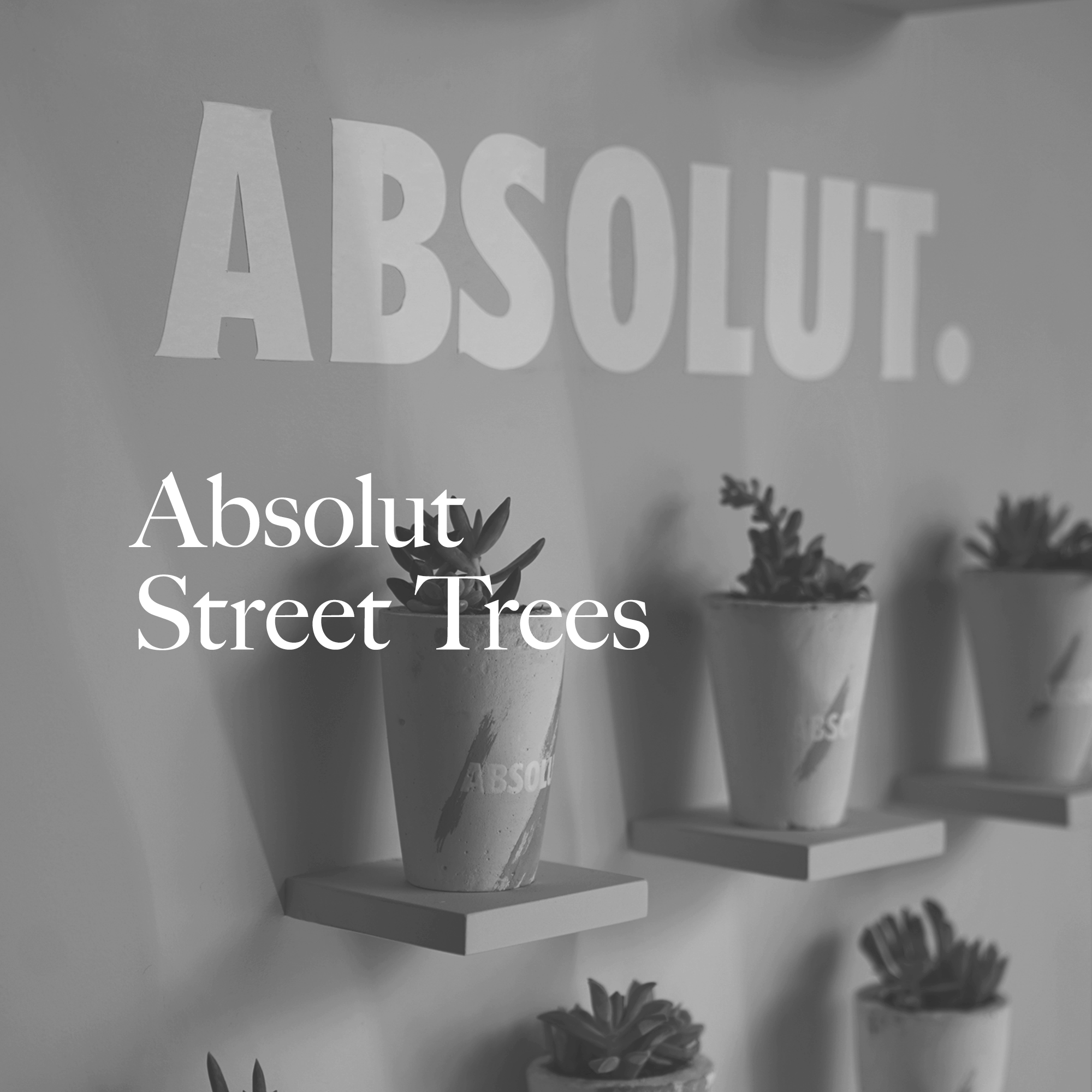 ABSOLUT STREET TREES