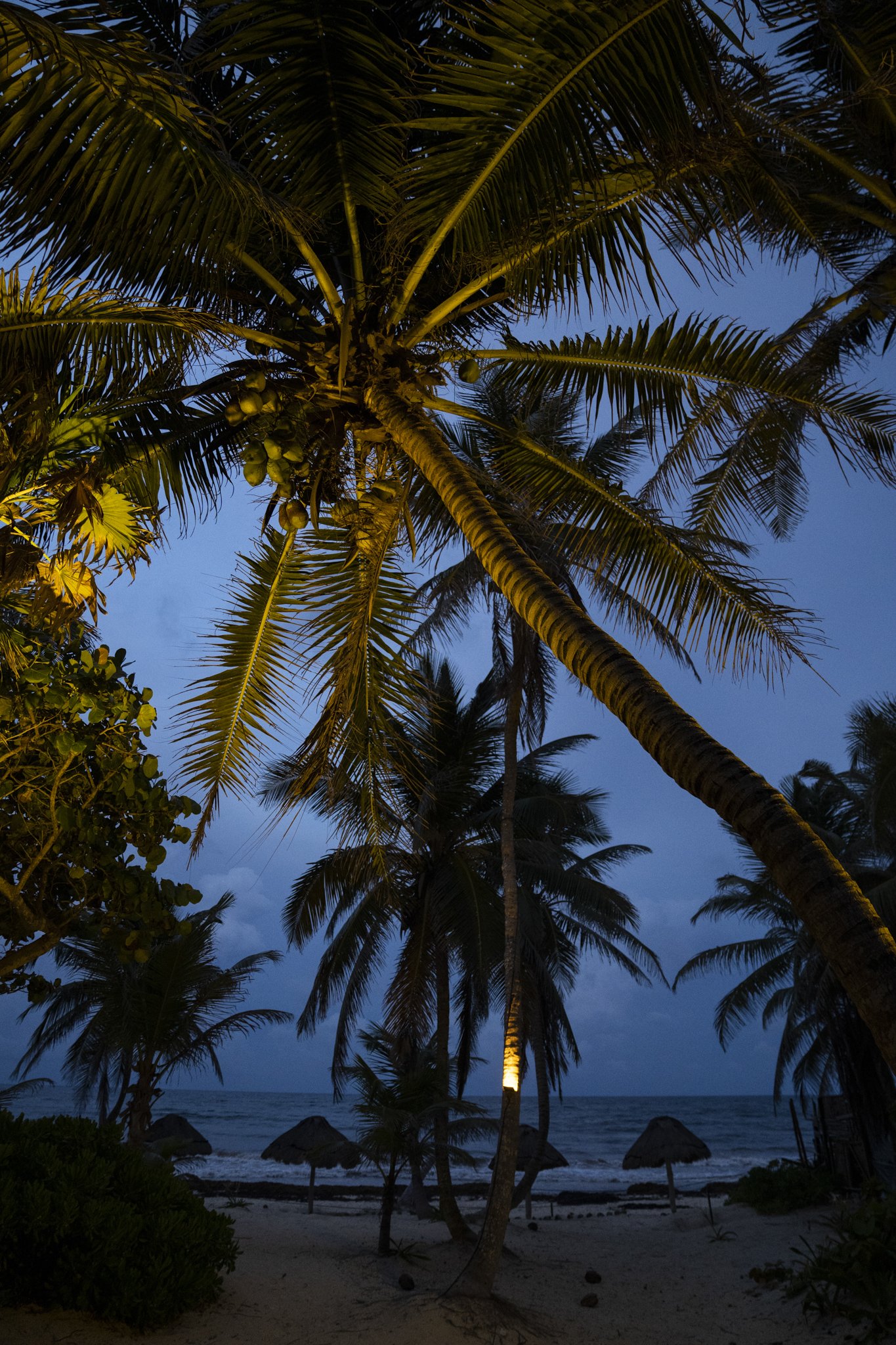 164_1Tulum_web.jpg