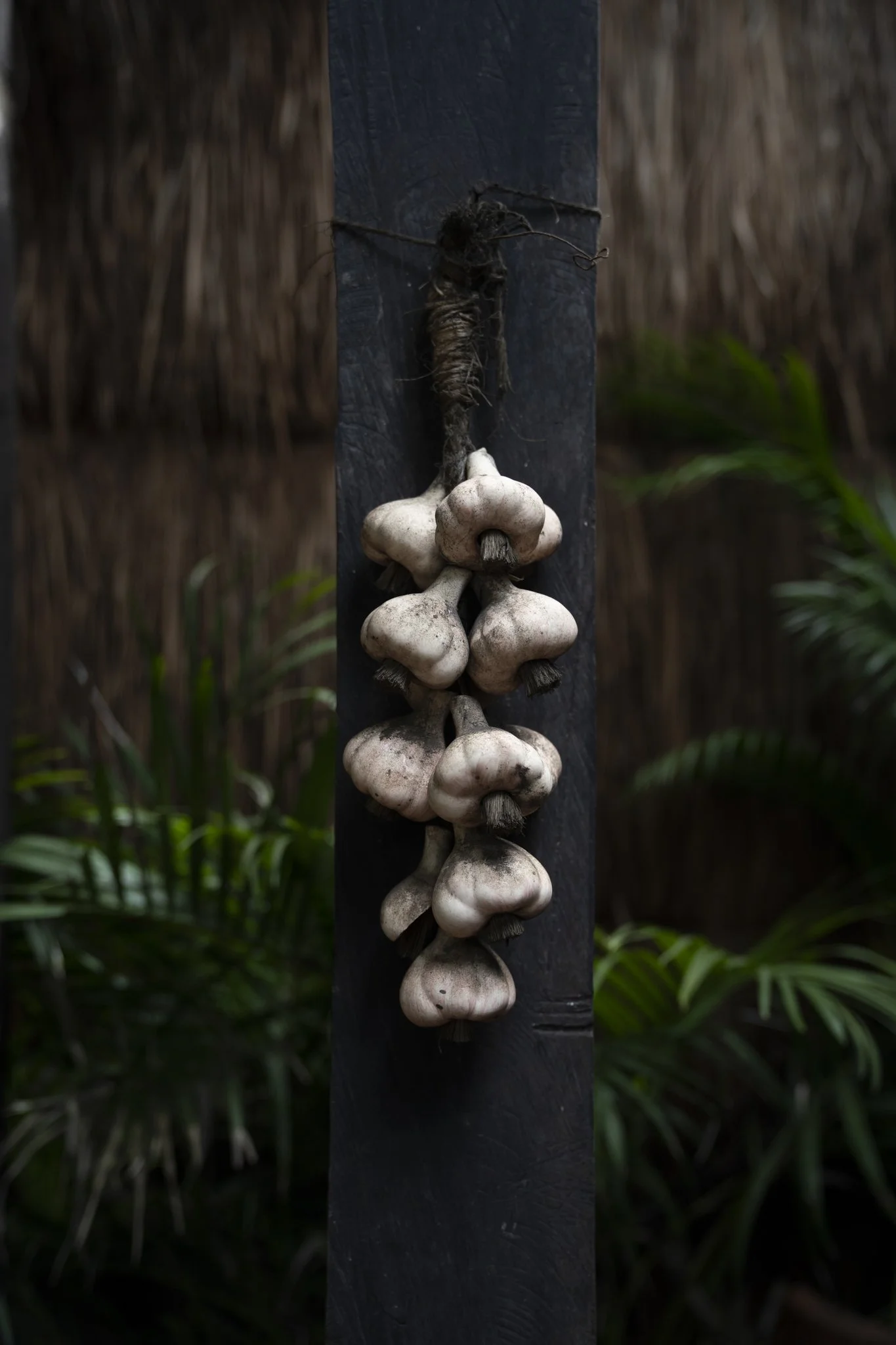 004_2Tulum.jpg