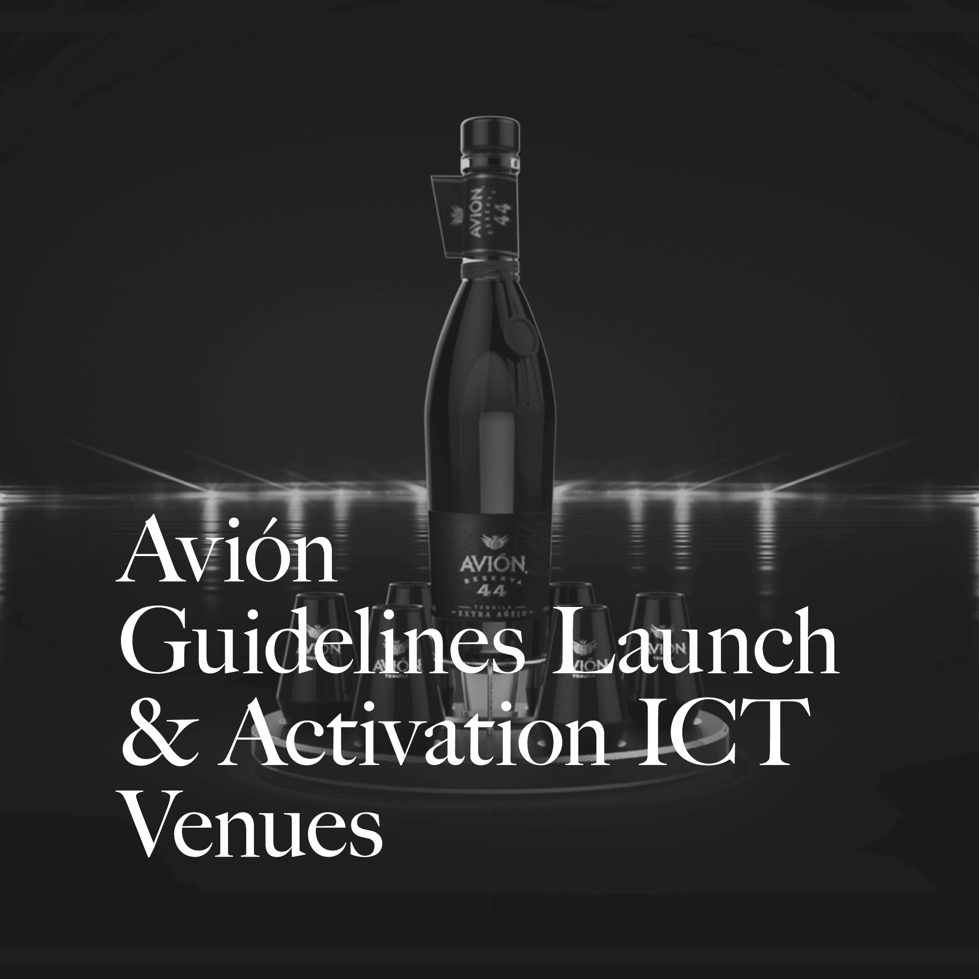 AVION GUIDELINES LAUNCH &amp; ACTIVATION ICT VENUES