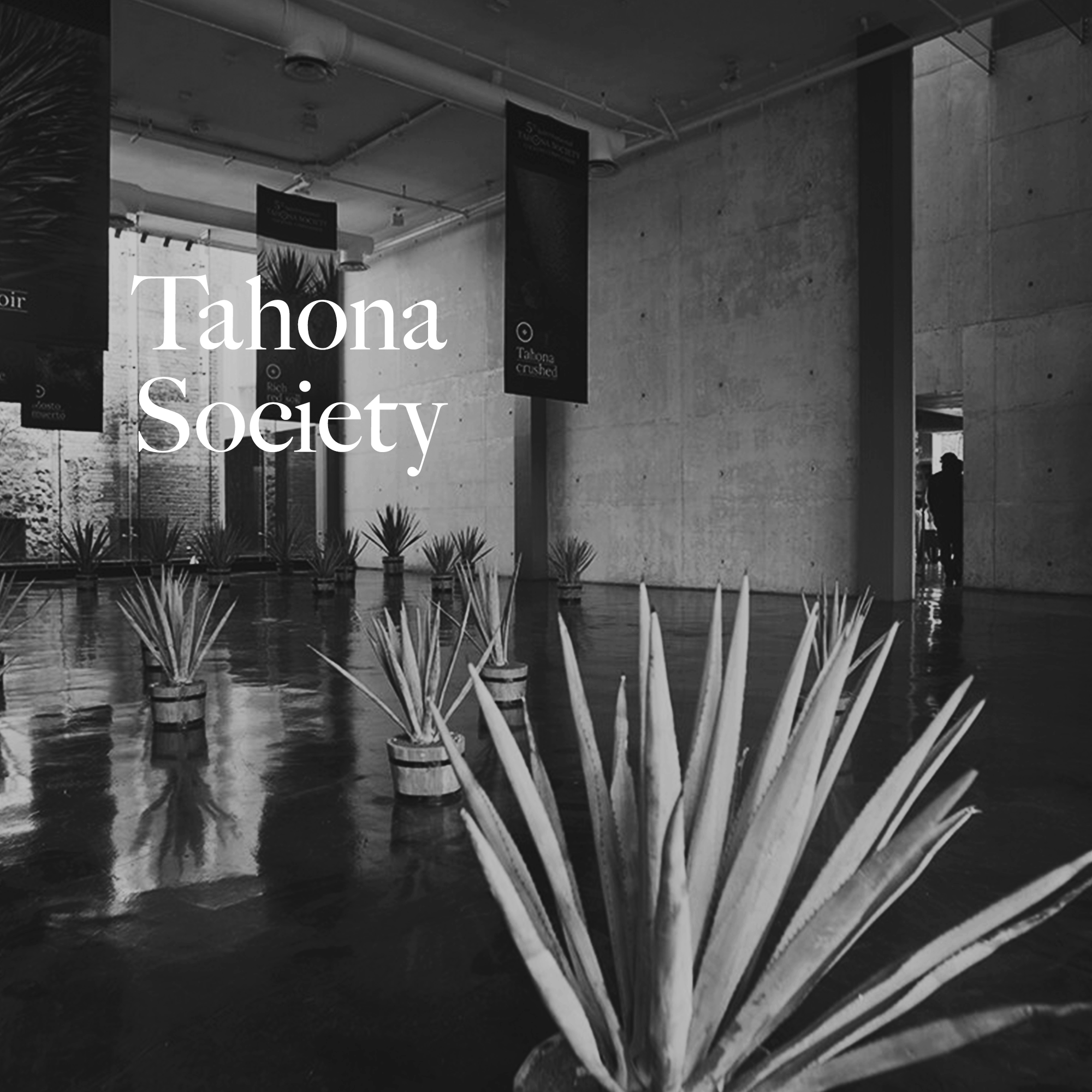 Tahona-Society-Cover.png