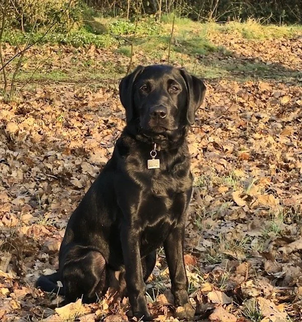 MILO