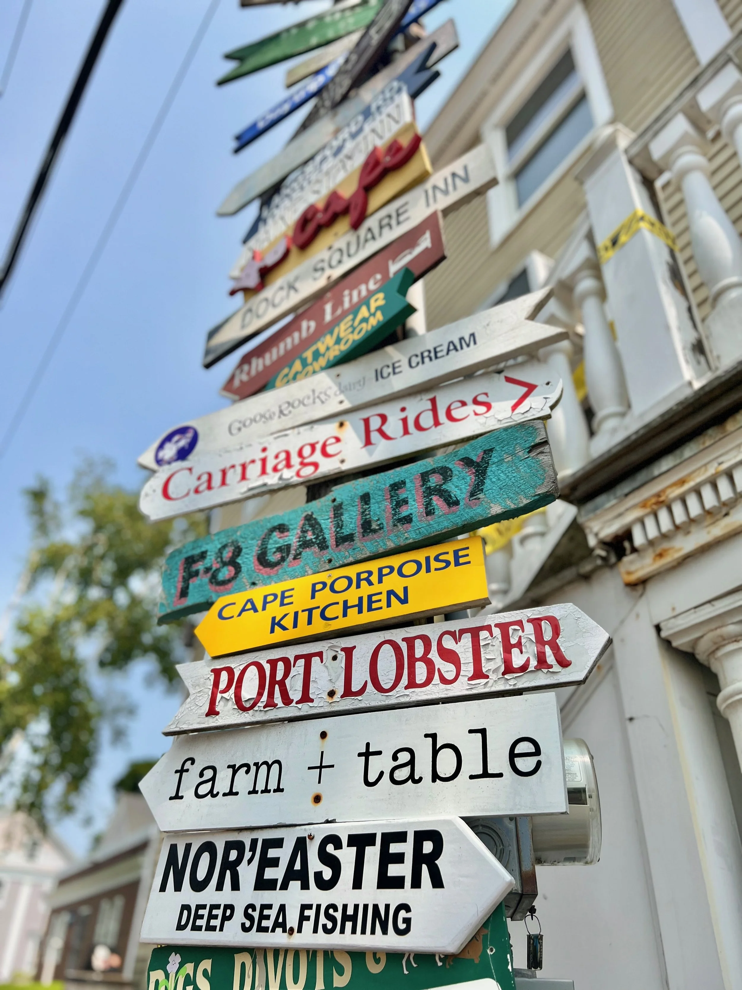IMG_4235 2.jpeg