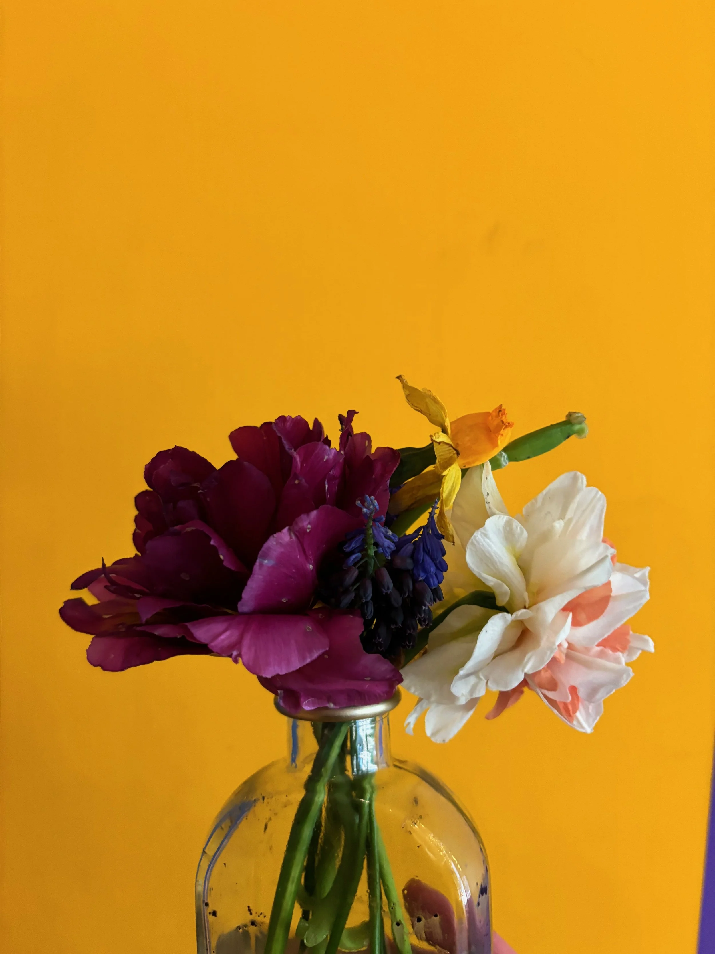 IMG_5299.jpeg