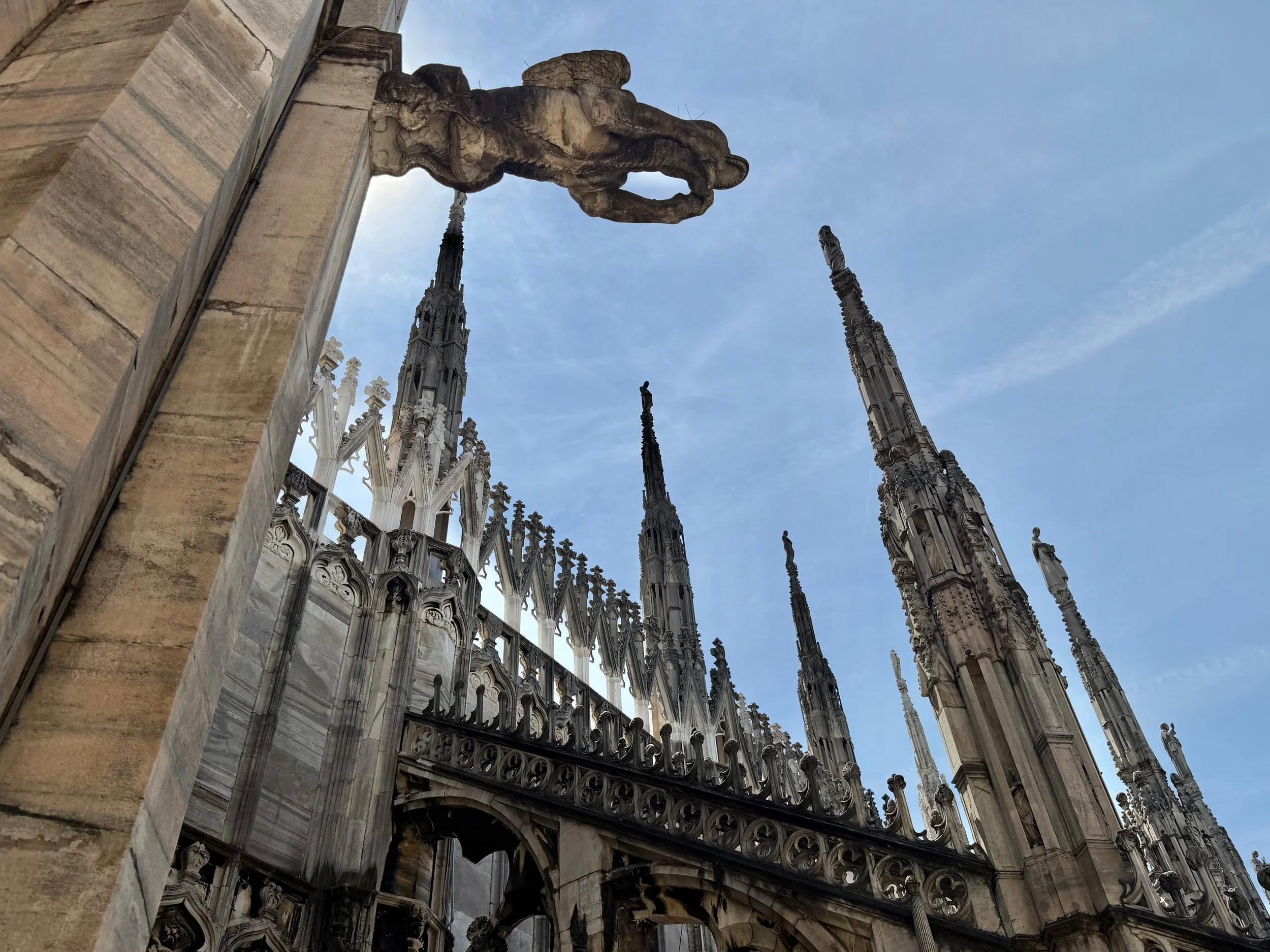 IMG_9662 2.jpeg