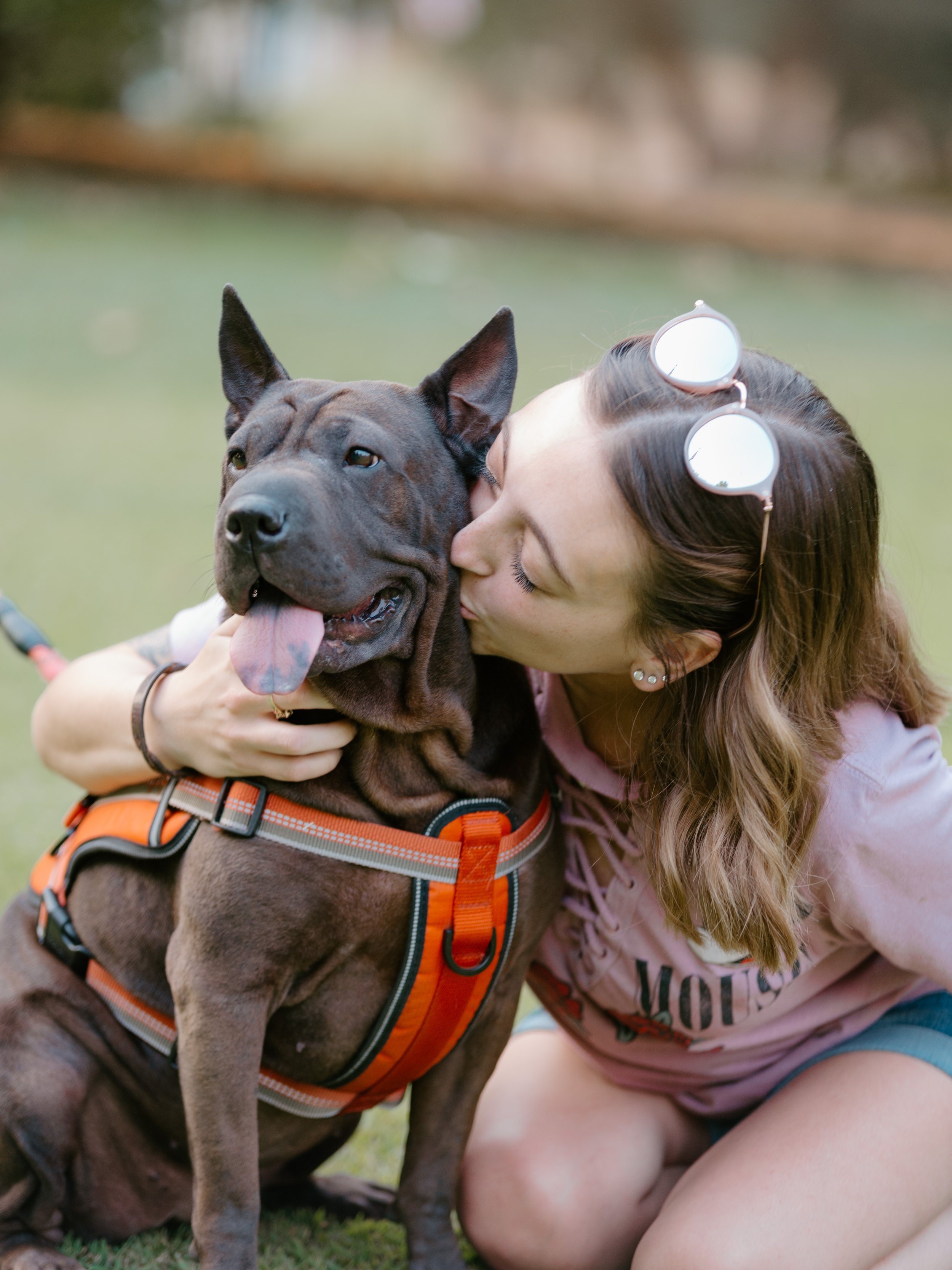Sarah Mumper with sunglasses on her head hugging and kissing Trout a black and brown brindled sharpei dog, wearing an orange harness, in an outdoor setting.