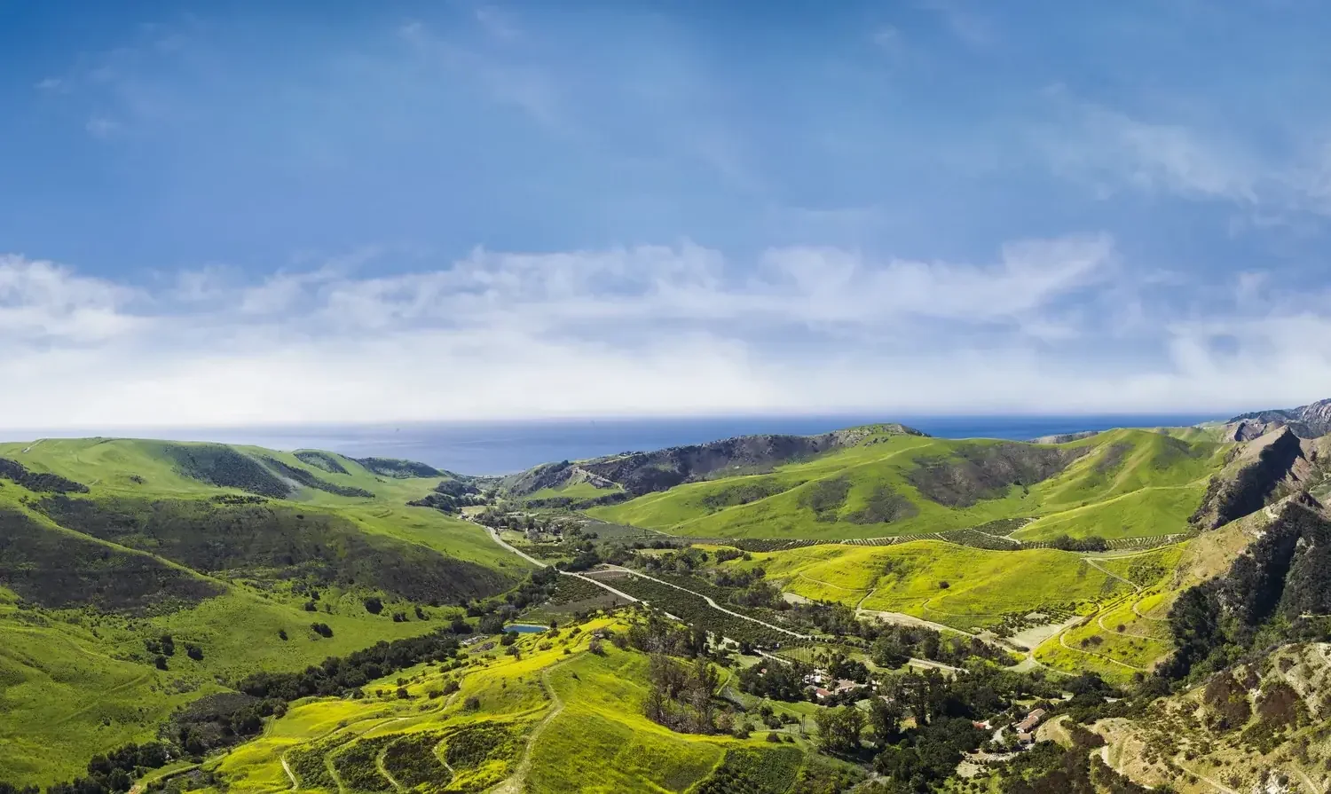 Scenic view of green rolling hills under a blue sky with wispy clouds, with the ocean visible in the distance.