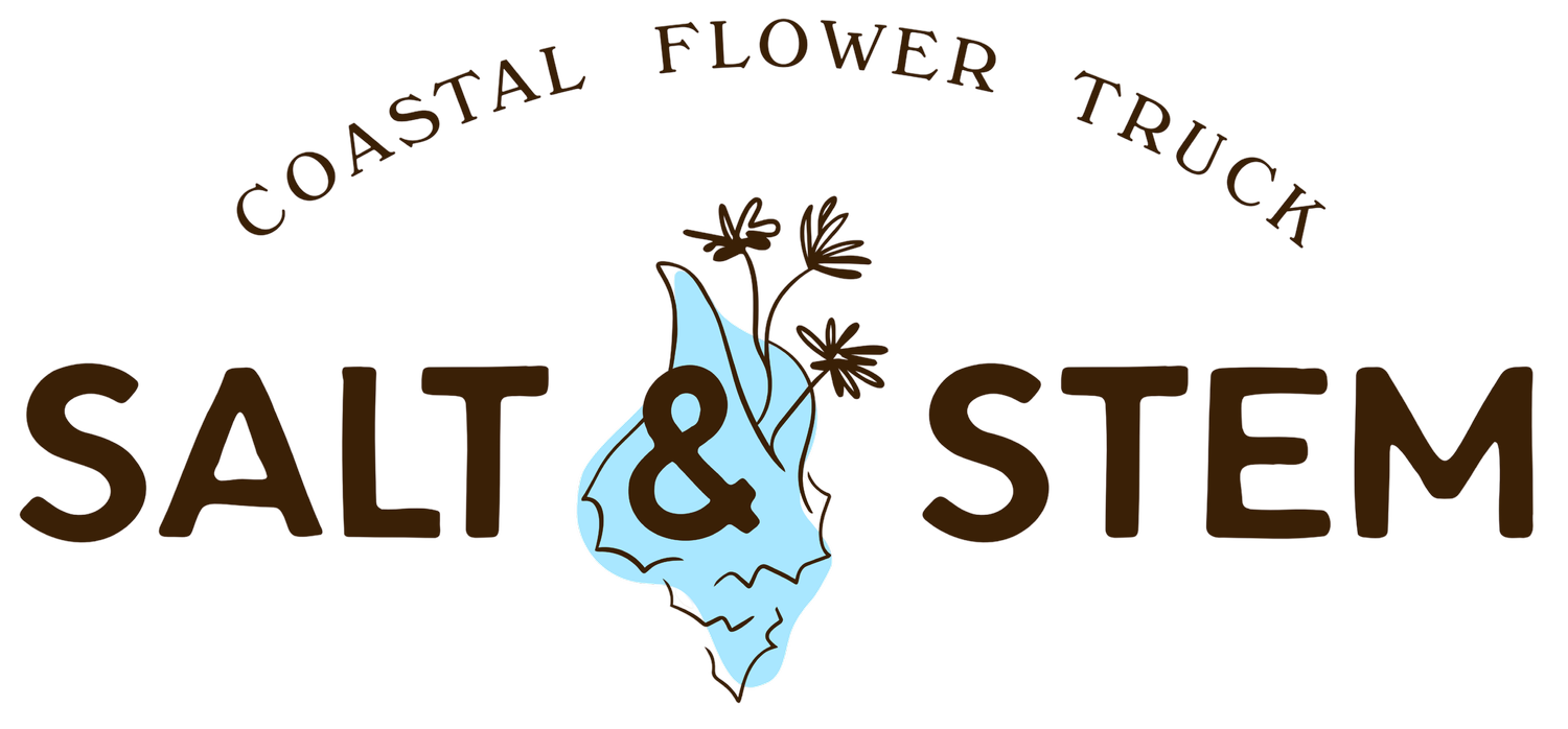 Salt &amp; Stem