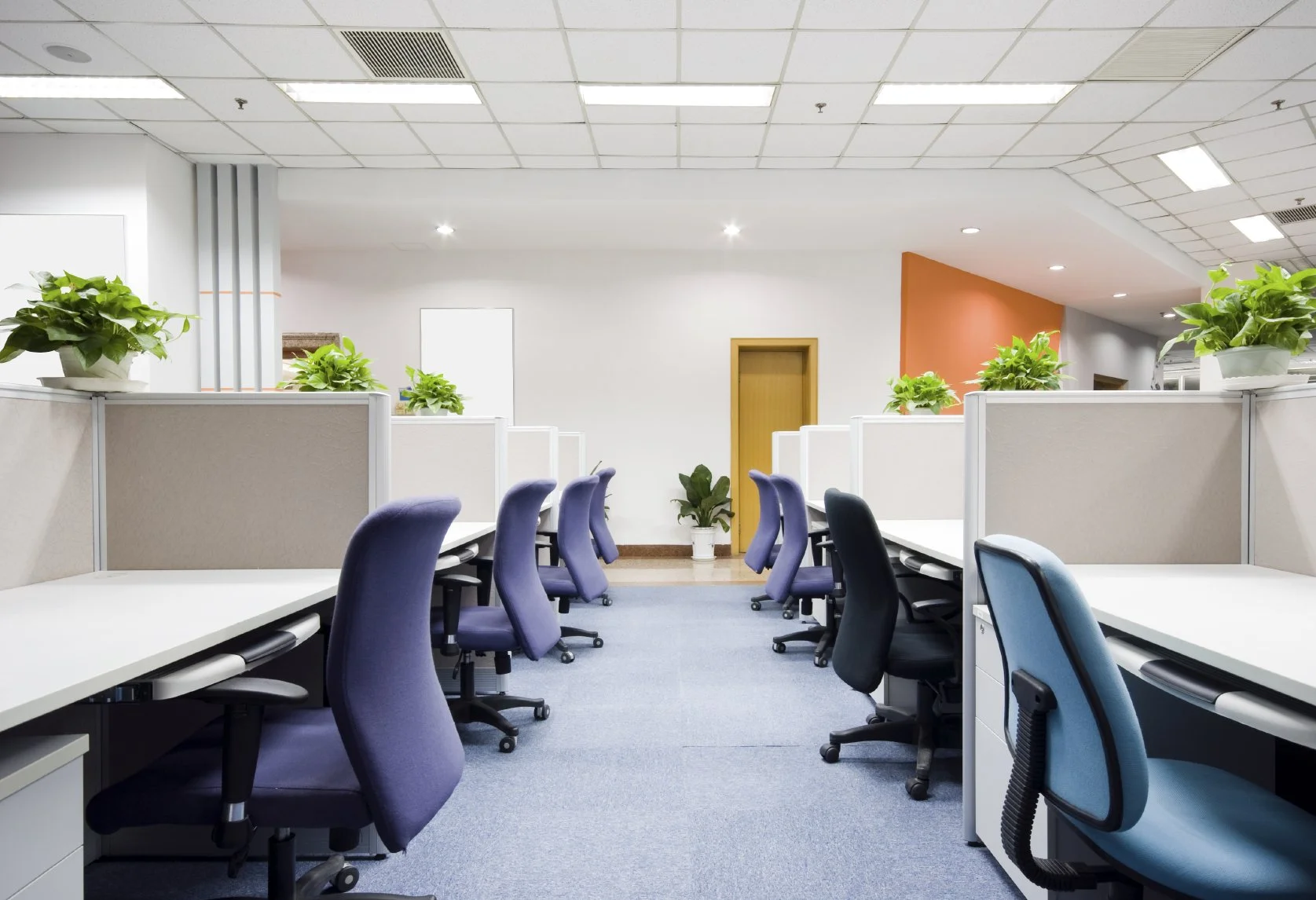 An empty office space with cubicles, purple and black office chairs, potted plants, and a white wall with a small door and orange accent wall.