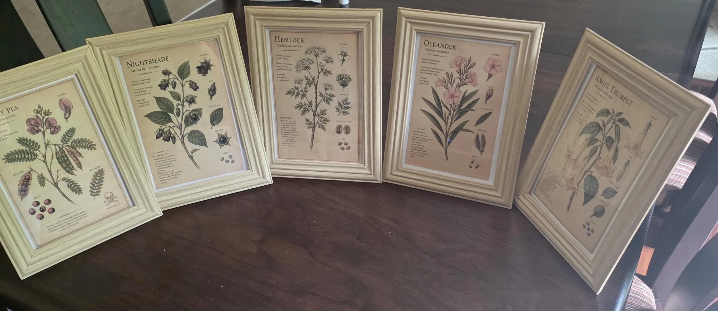 botanical prints.jpg
