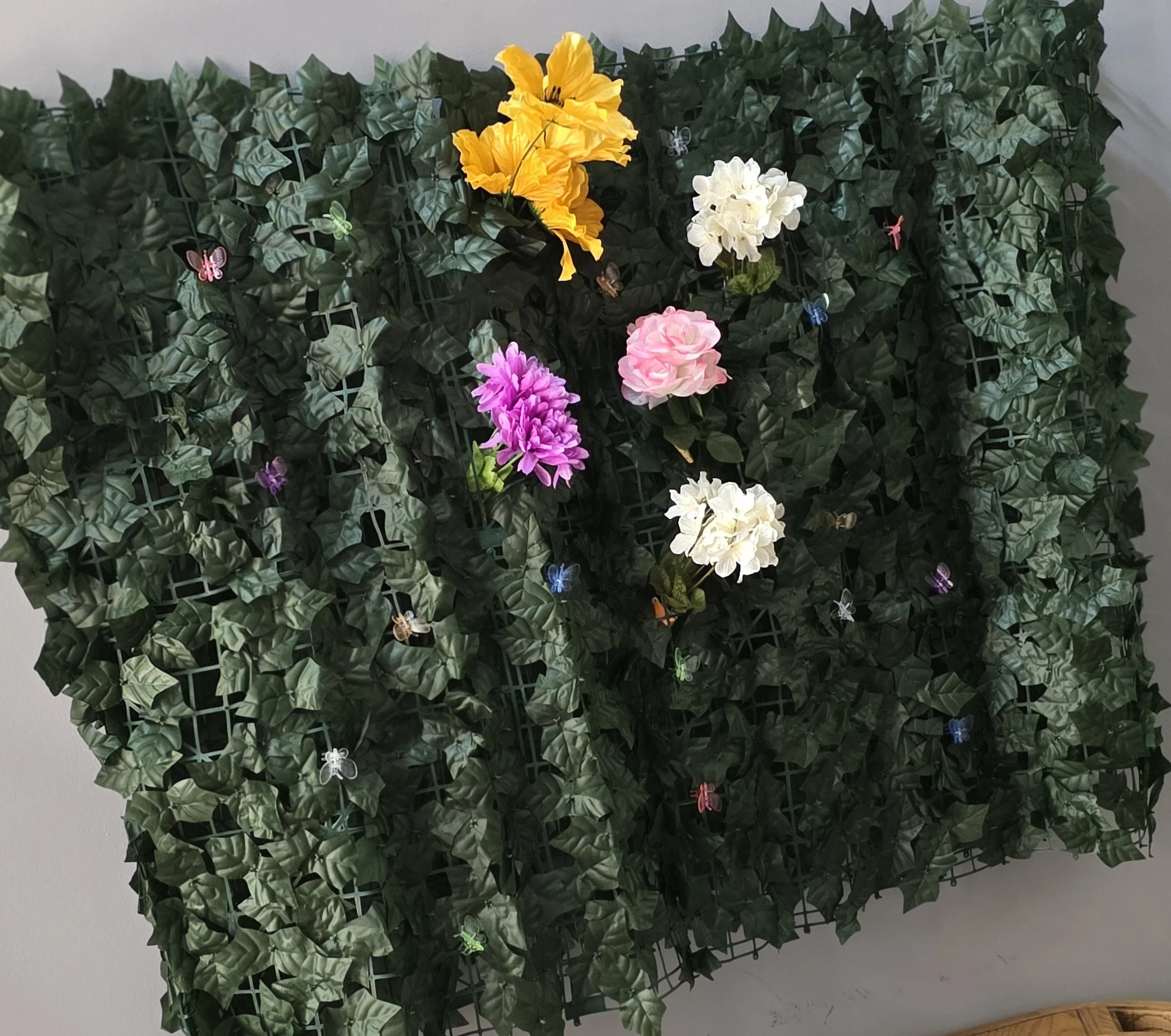 backdrop.jpg