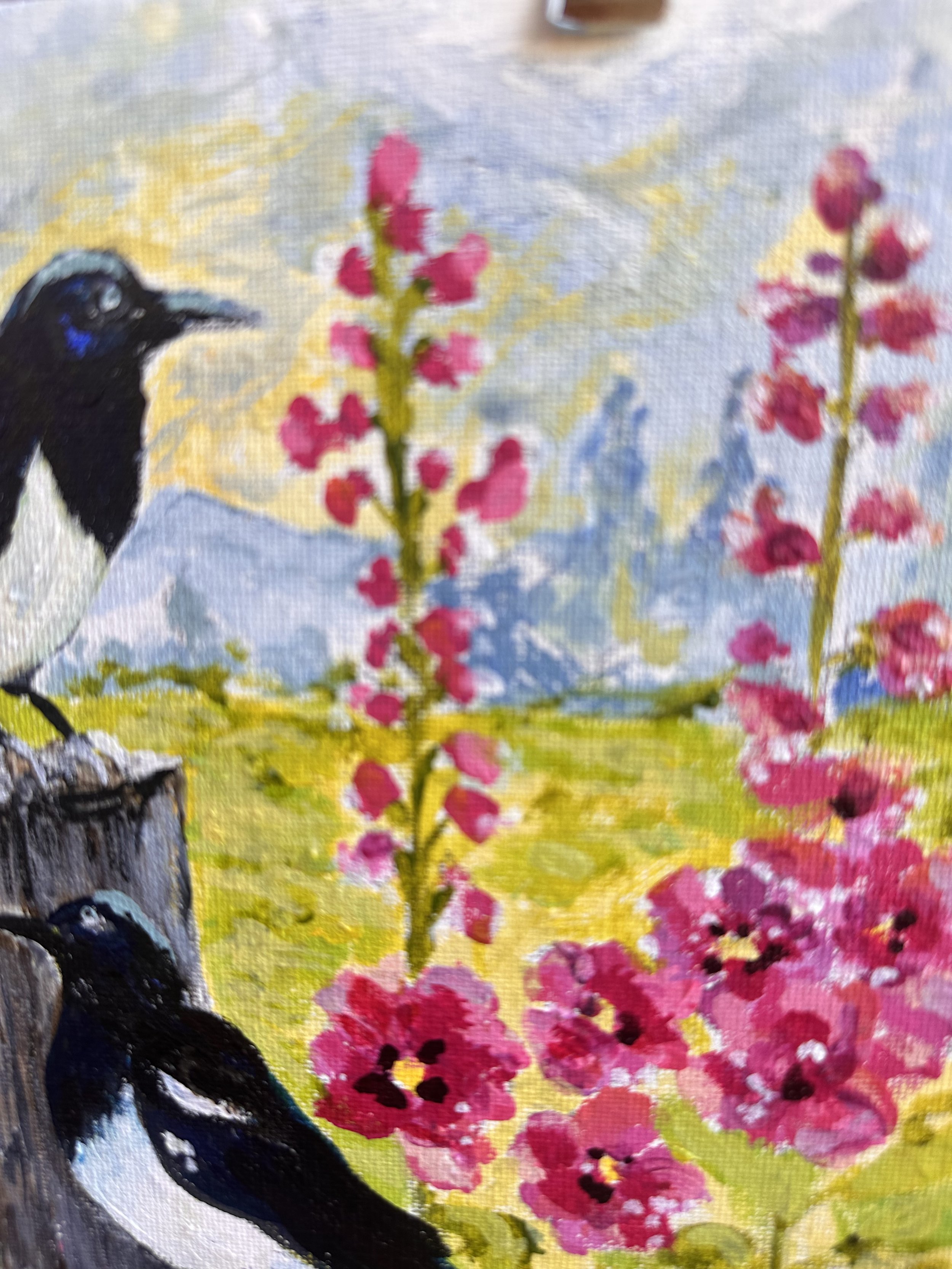 IMG_8469.jpeg