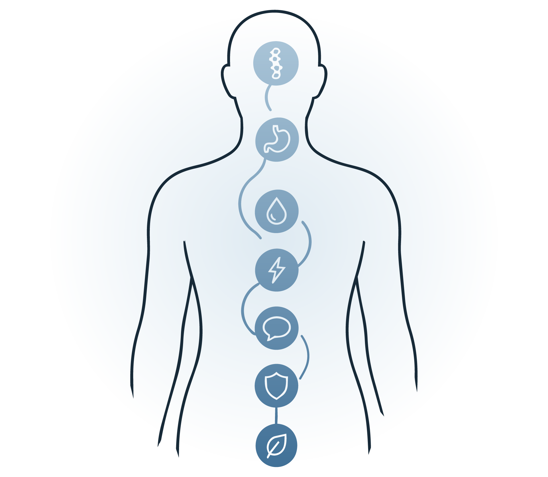 Diagram of a human outline with icons representing the brain, stomach, intestines, and other organs connected by a line.