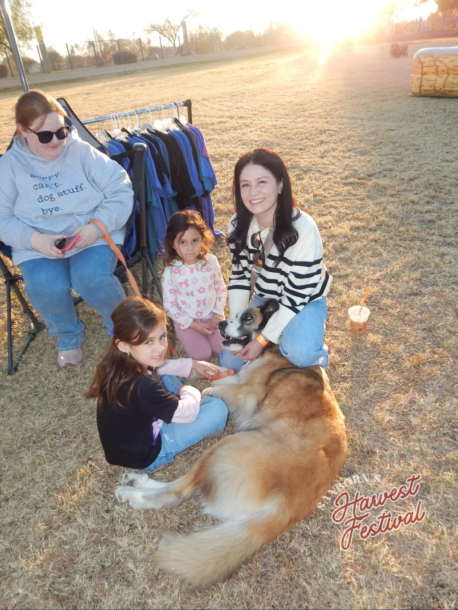 Sanborn Festival Chandler 