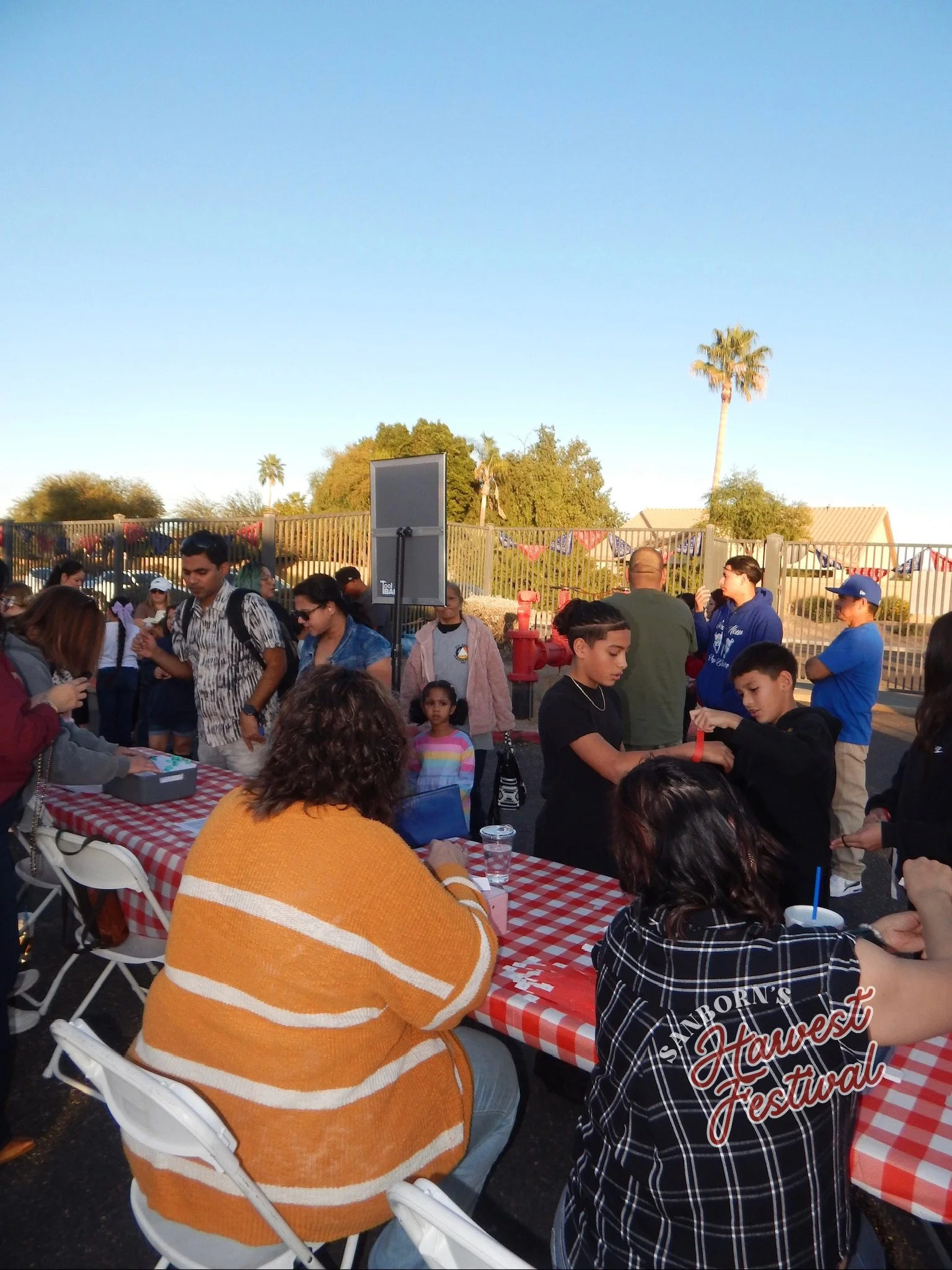 Sanborn Festival Chandler 