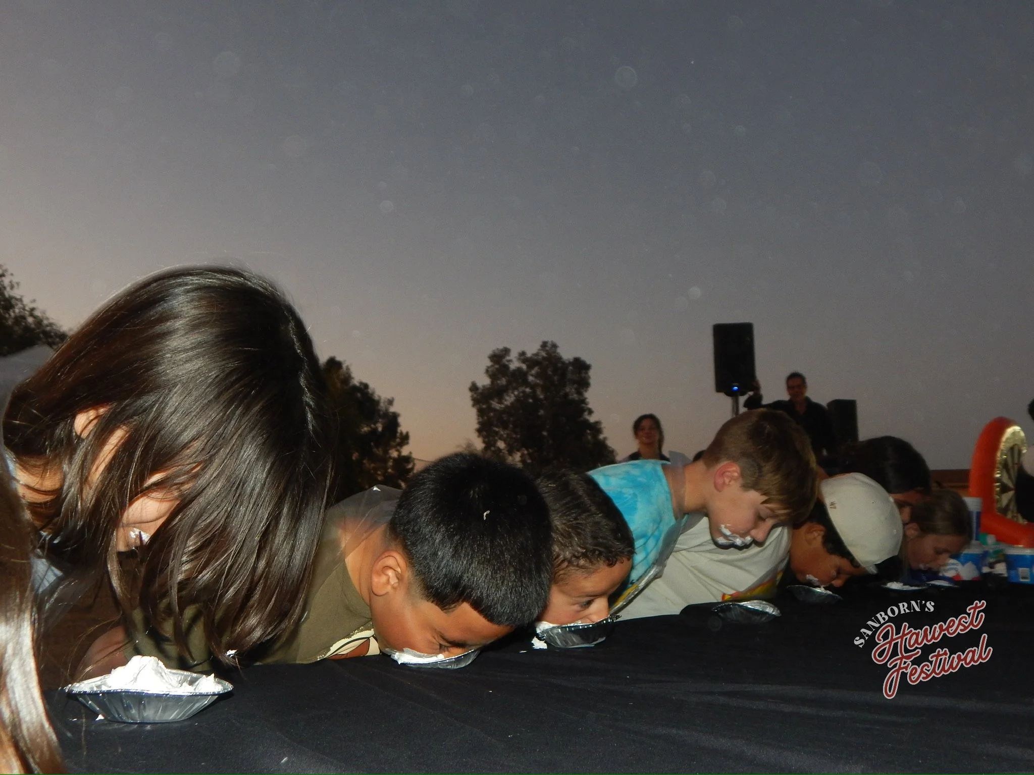 People participating in a pie-eating contest at a festival, with their faces close to the table, focusing on eating, under a night sky with a few visible stars and trees in the background.