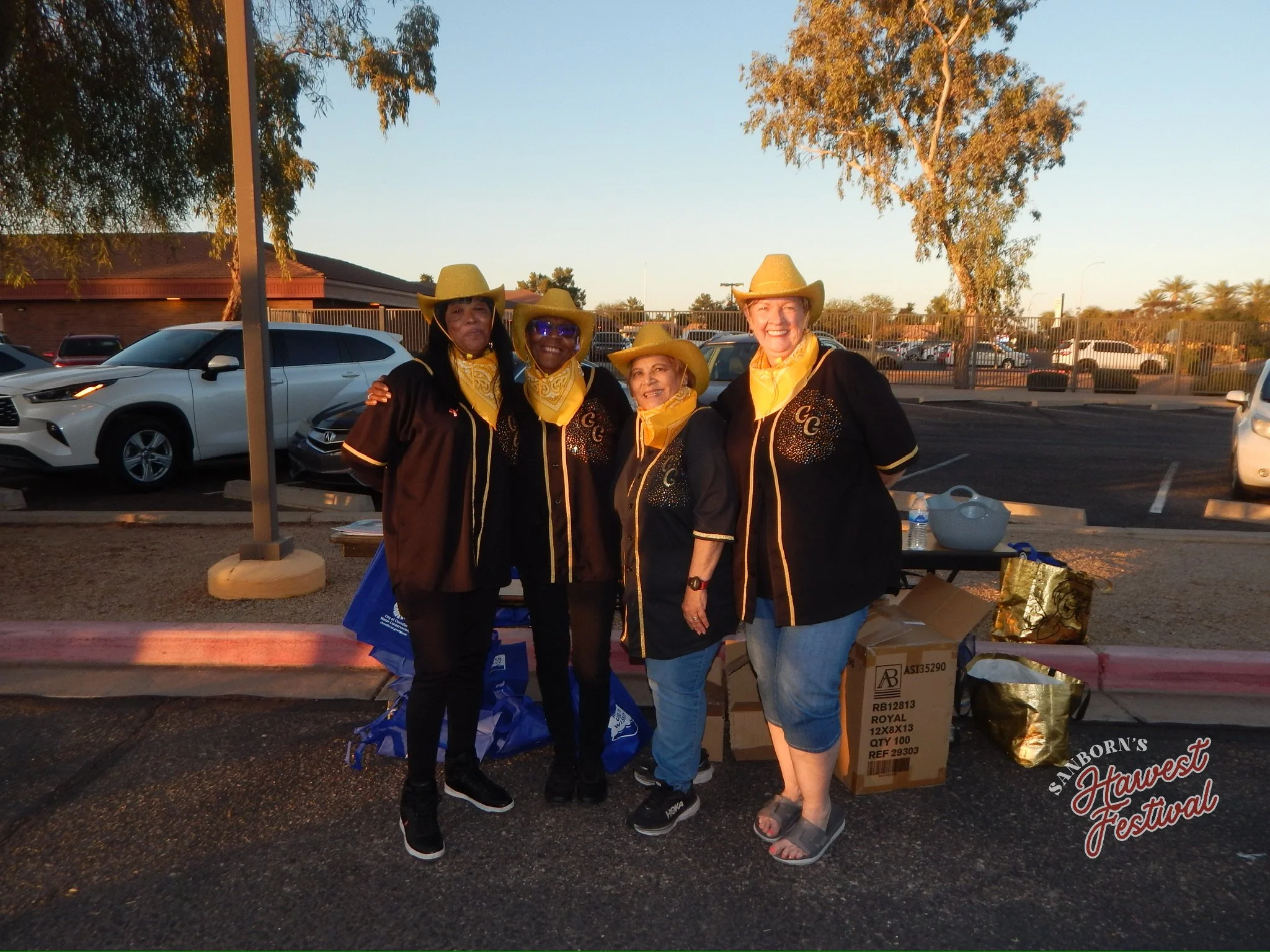 Sanborn Festival Chandler 