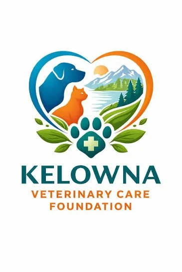 Mini Sessions — In Support of Kelowna Veterinary Care Foundation
