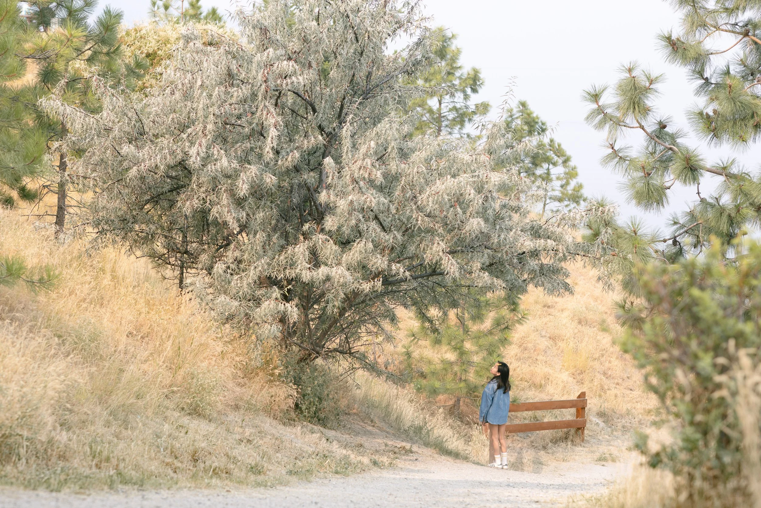 Cedar Creek Park - Kelowna BC