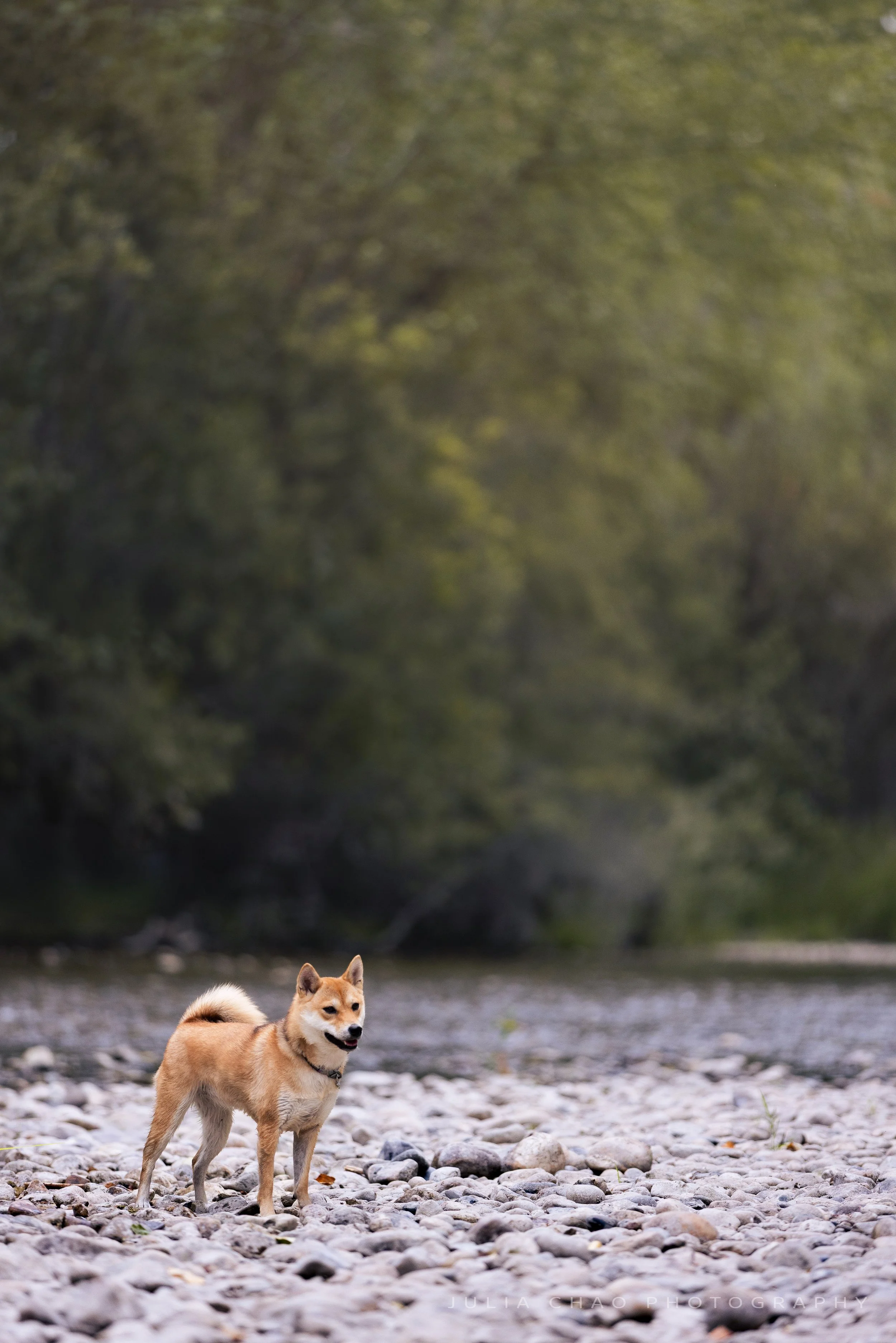 _57A4397.jpg