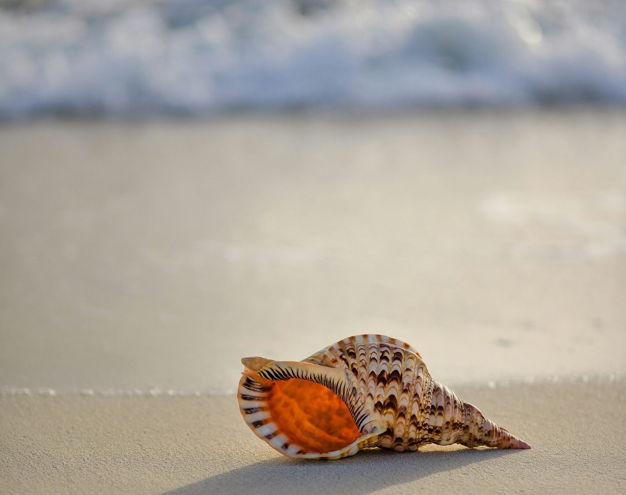 Recharge &amp; Restore: Your End-of-Summer Reset Guide