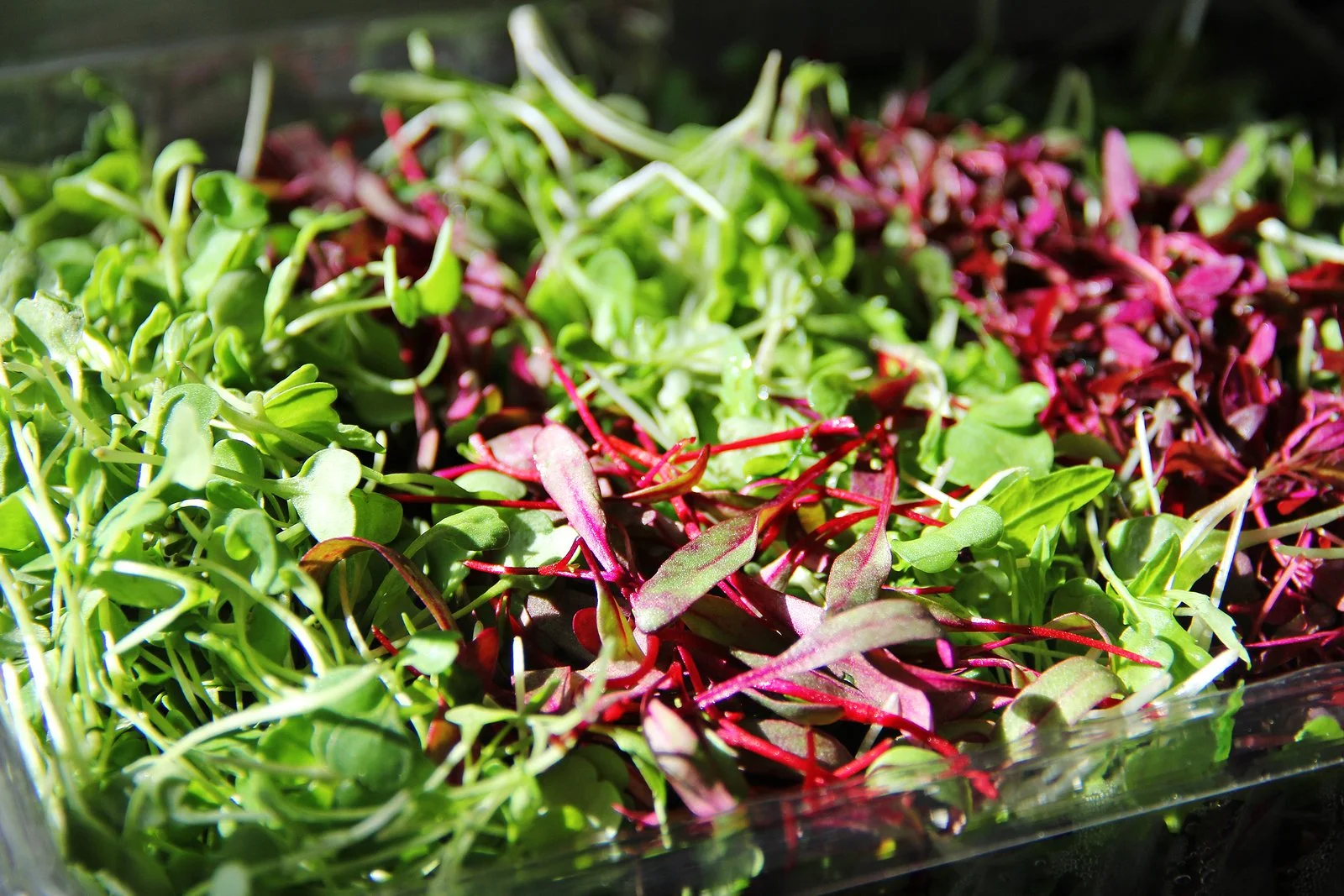 The Adaptogenic Green Juice You Need For Thyroid Health
