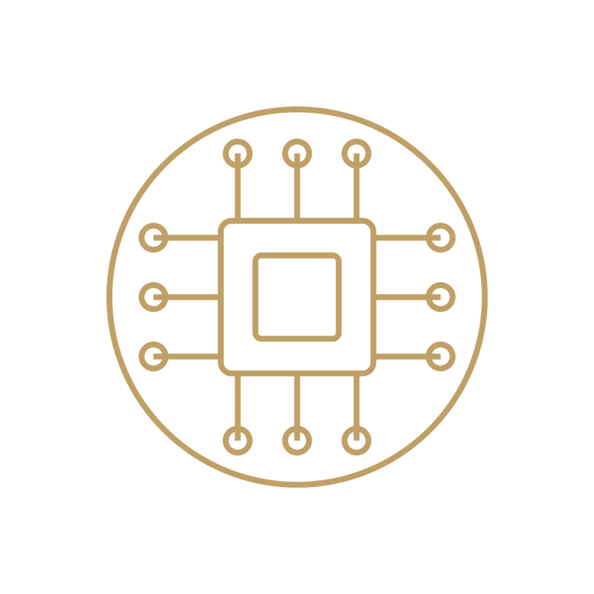 TECHNOLOGIES SECTOR, IA , FIANCE ERP TRANSFORMATION, PRIVATE EQUITY