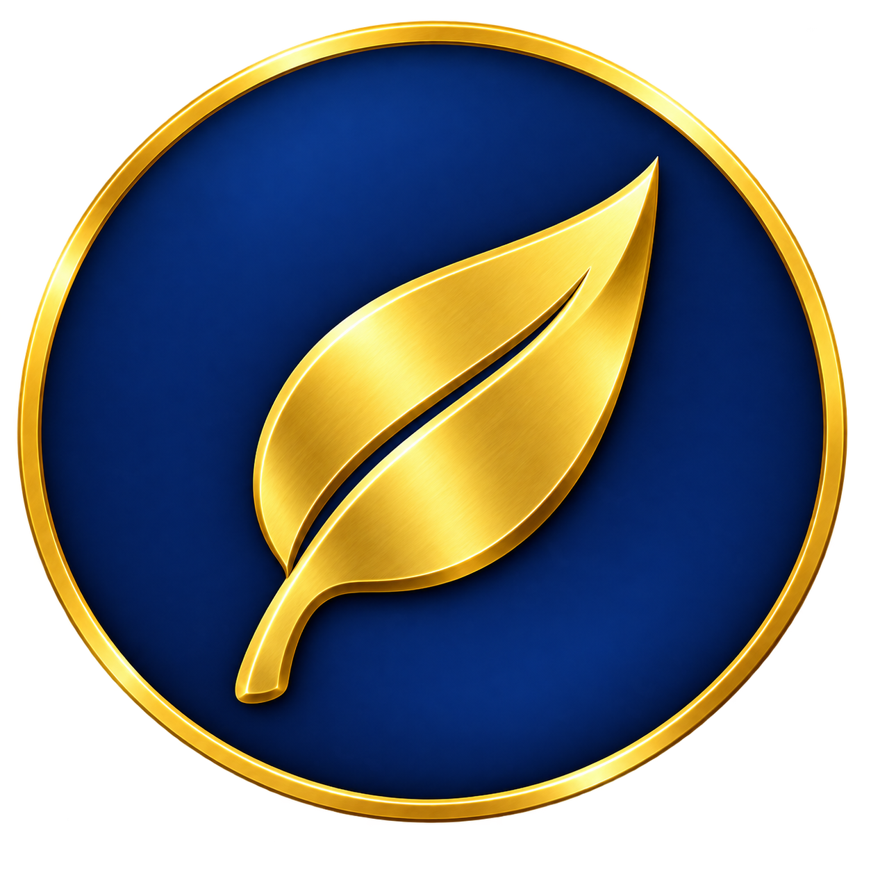 renewable energy