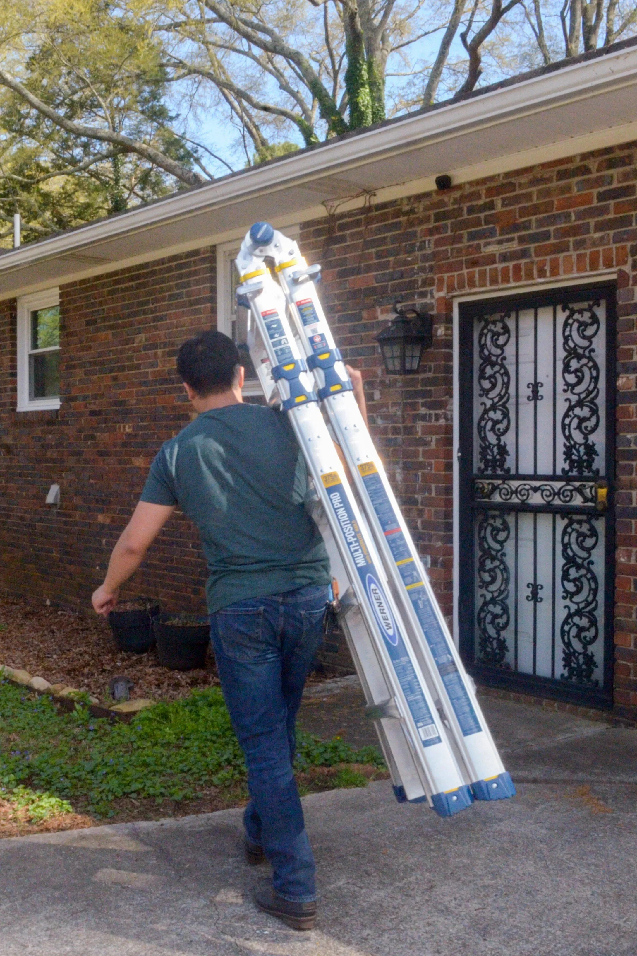 Werner Multi-Position Ladder