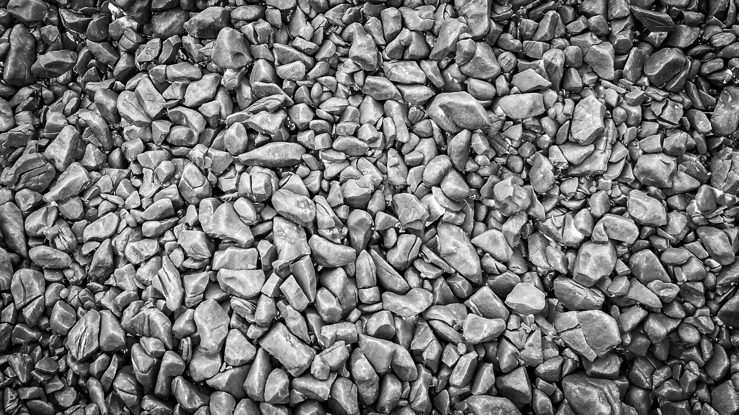 Black and white fine art photograph from From Land to Sea by Tommy (Thomas) Salpietro, depicting the natural textures of Country in Kuku Yalanji Country, Far North Queensland, Australia.