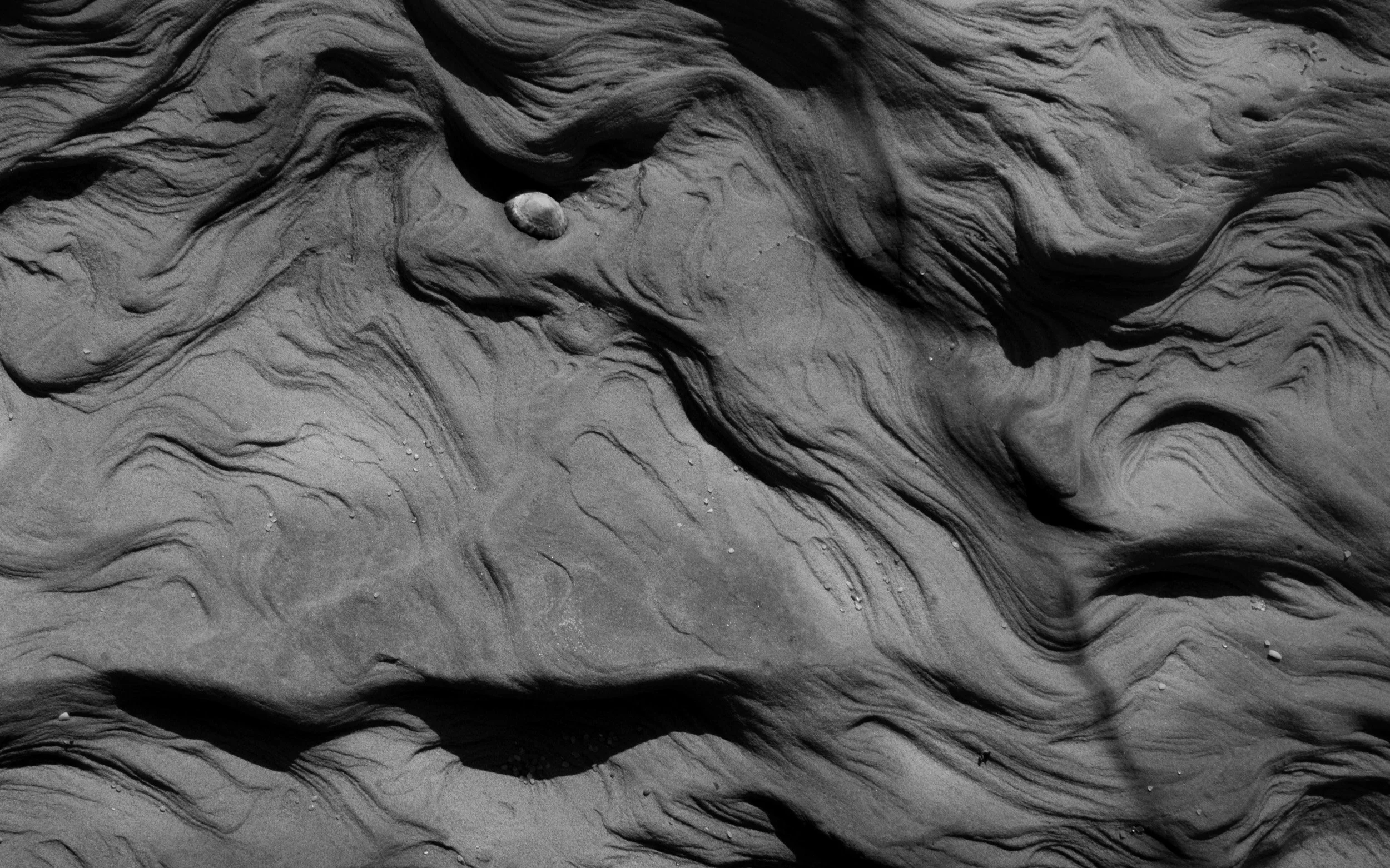 Black and white fine art photograph from STRATA by Tommy (Thomas) Salpietro, revealing ancient geological textures along Victoria's southern coastline, Australia.