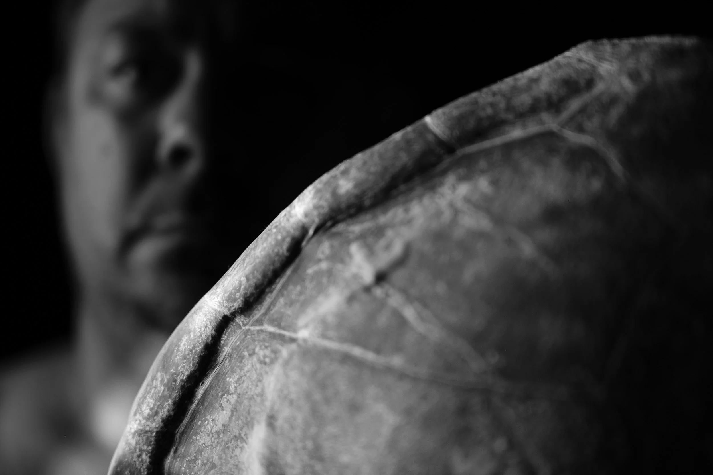 Black and white fine art photograph from From Land to Sea by Tommy (Thomas) Salpietro, depicting a traditional turtle shell used by the Kuku Yalanji people in Far North Queensland, Australia. Documentary photography exploring Indigenous culture.