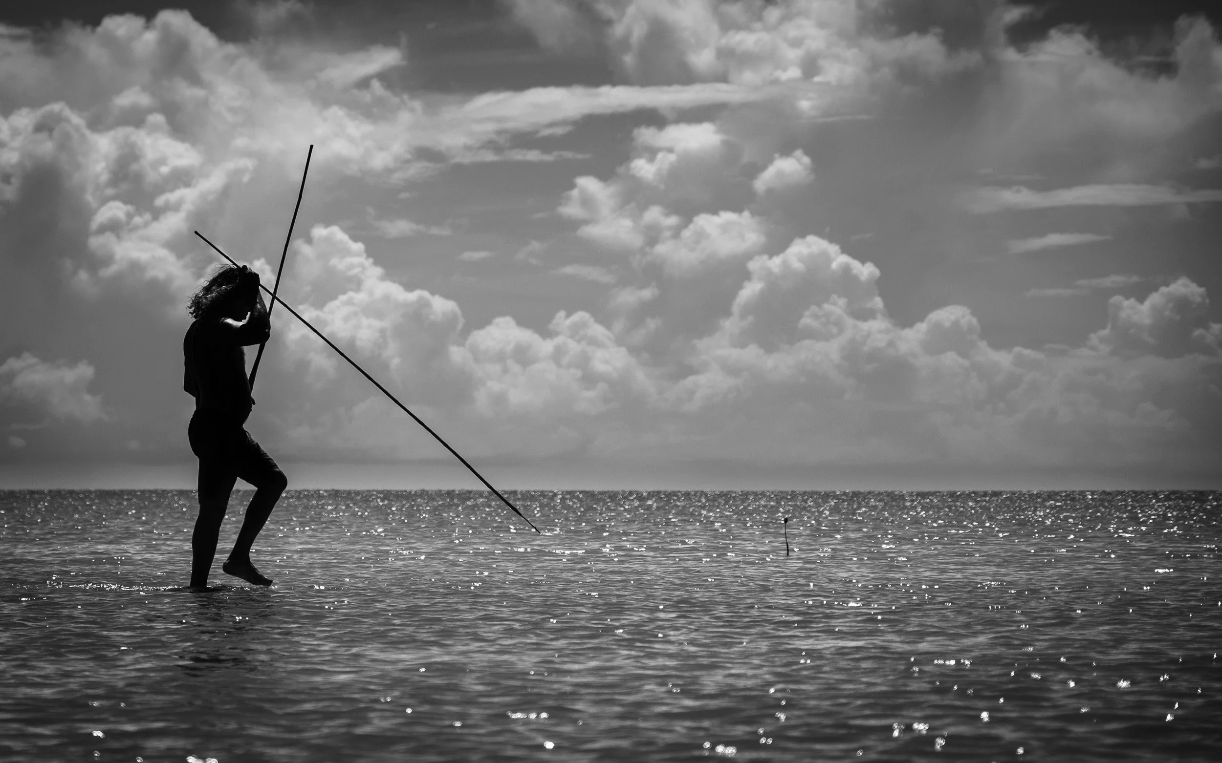 Black and white fine art photograph from From Land to Sea by Tommy (Thomas) Salpietro, depicting a Kuku Yalanji man fishing with a traditional spear in Far North Queensland, Australia.