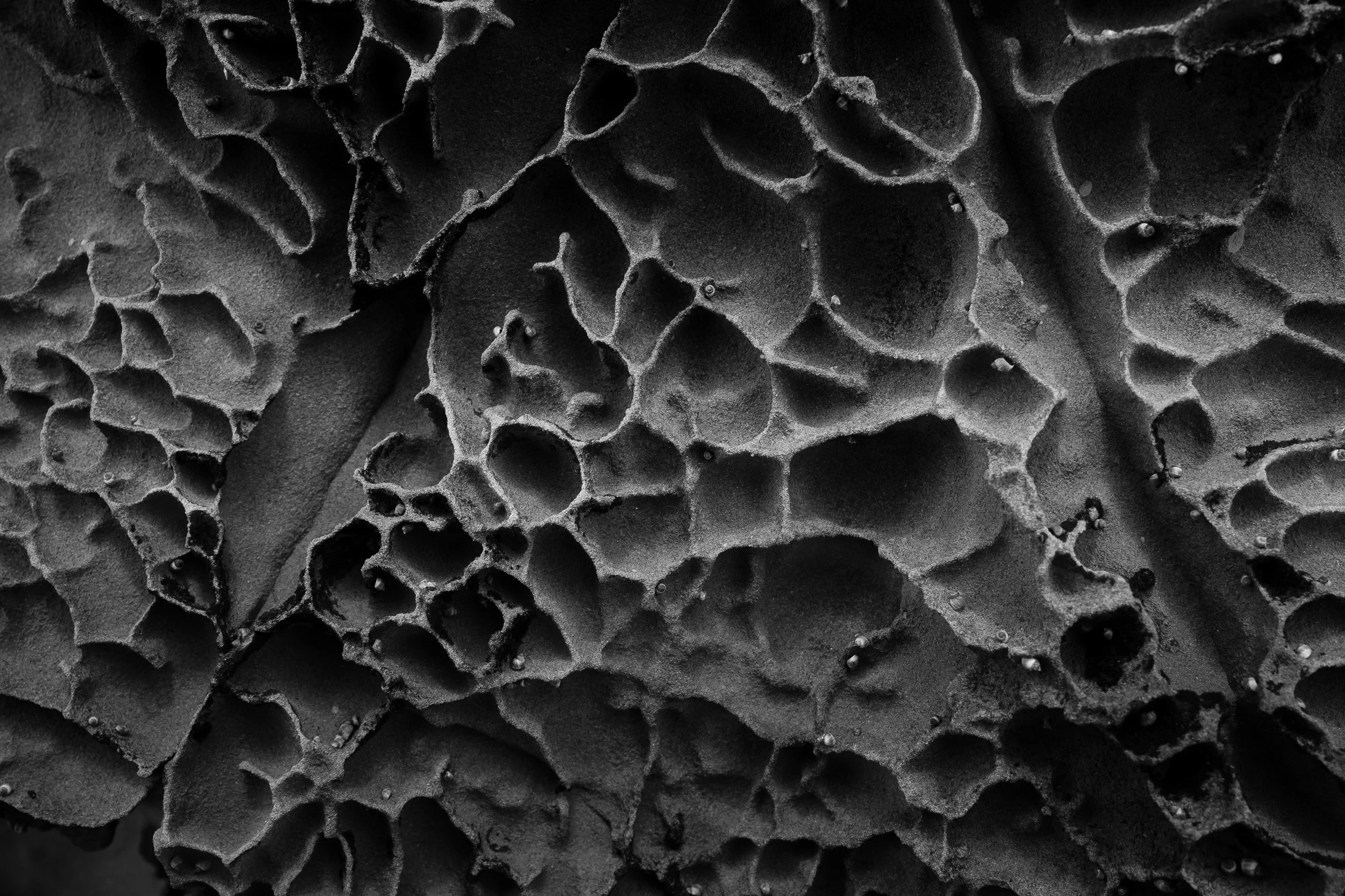 Black and white fine art photograph from STRATA by Tommy (Thomas) Salpietro, revealing ancient geological textures shaped by time and erosion.