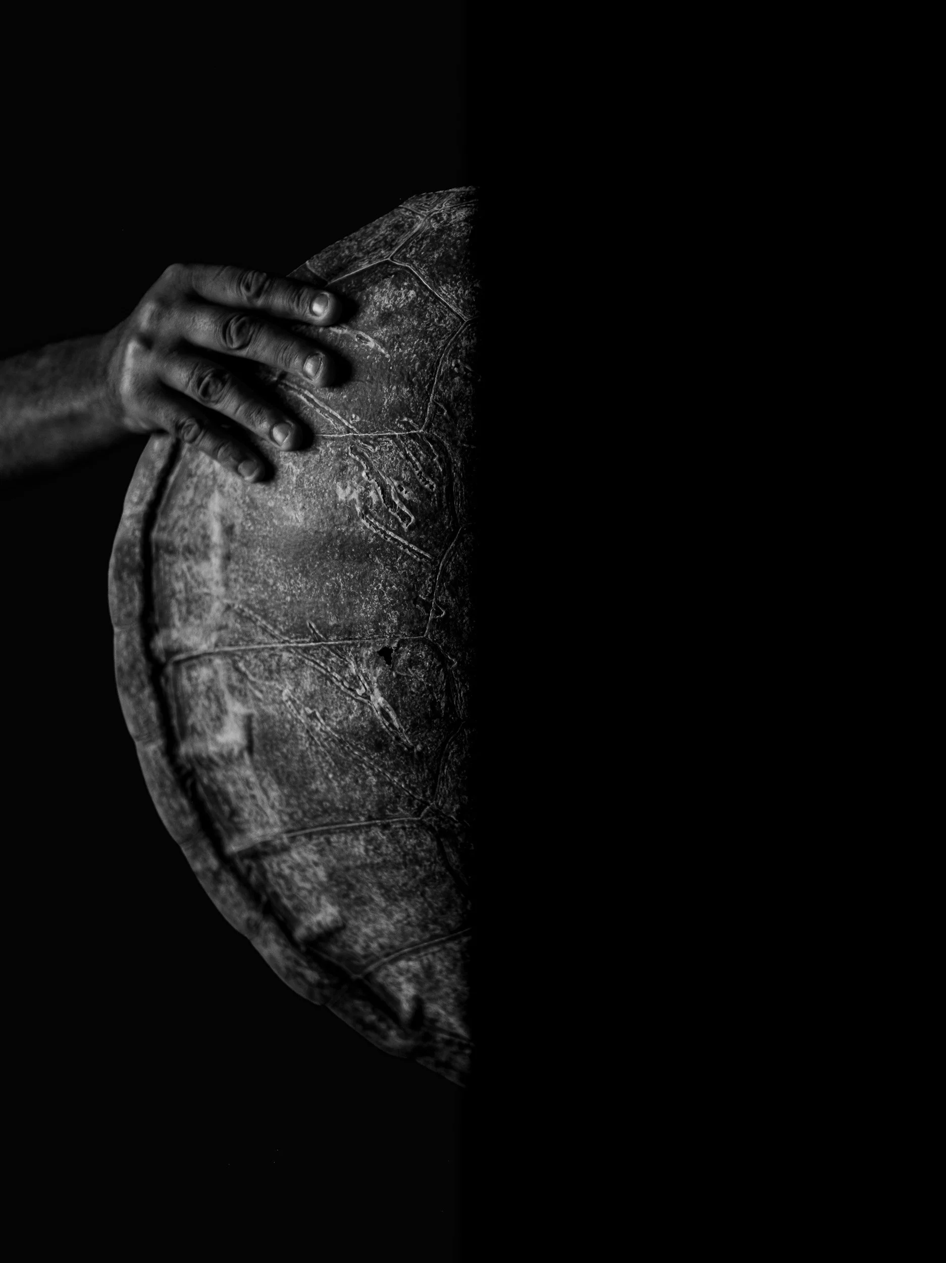 Black and white fine art photograph from From Land to Sea by Tommy (Thomas) Salpietro, depicting a hand resting on a traditional turtle shell in Kuku Yalanji Country, Far North Queensland, Australia. Documentary photography exploring Indigenous.