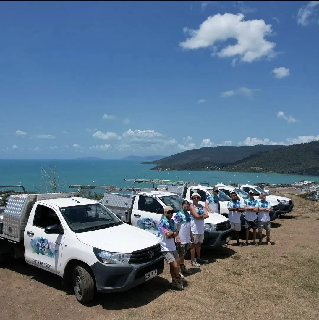 WhitPaint crew standing next to white utes on a hill overlooking the Whitsundays
