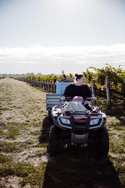 Lauren Swift — Winemaker