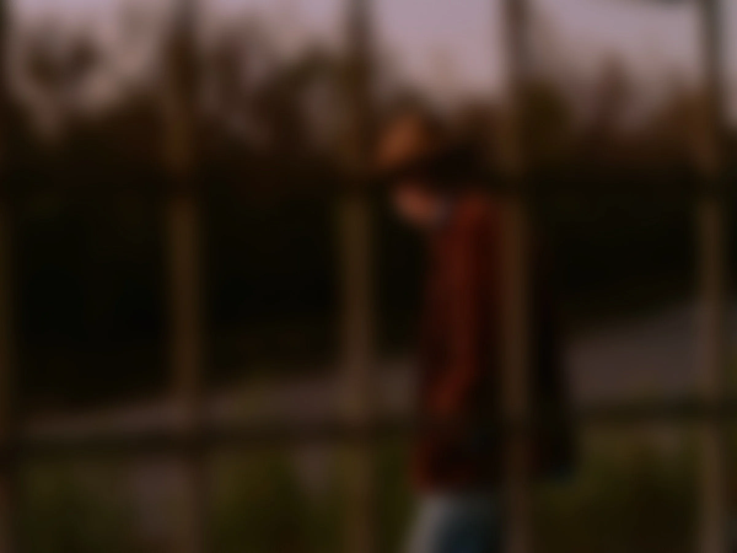 The image is too blurry to clearly identify its contents.