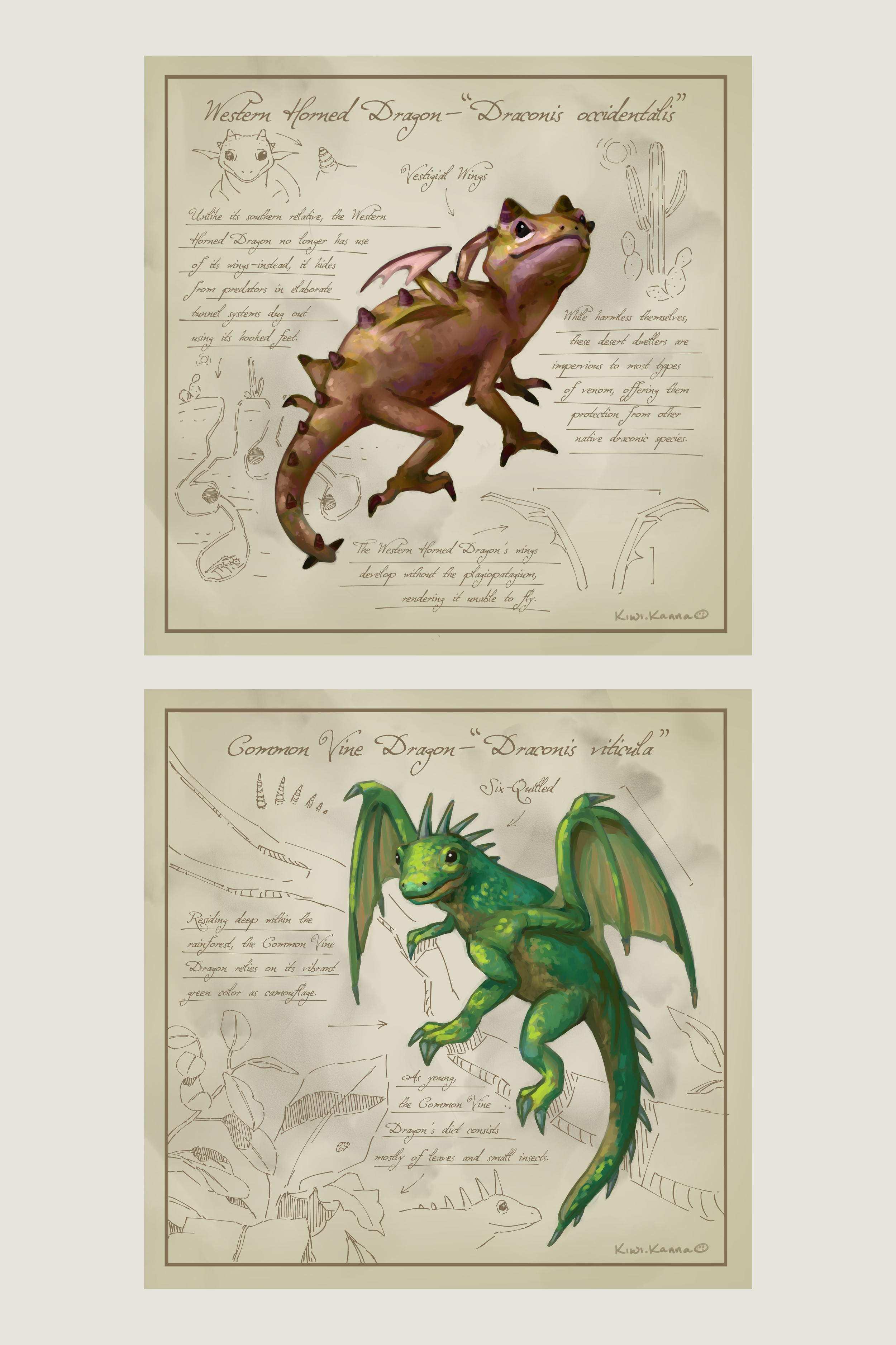 Untitled_Artwork (45).png