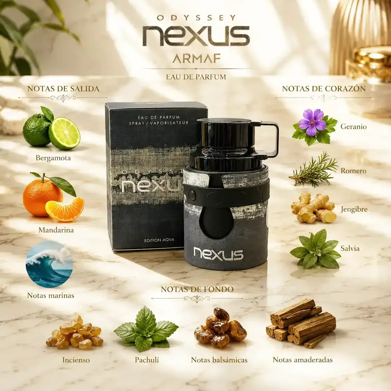 armaf-odyssey-nexus-notas.webp