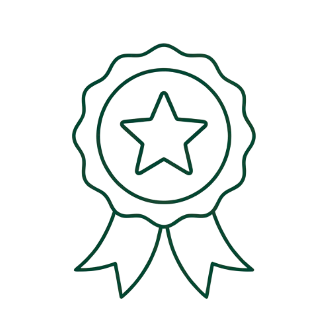 Neon outline of a medal with a star in the center and ribbons hanging below.