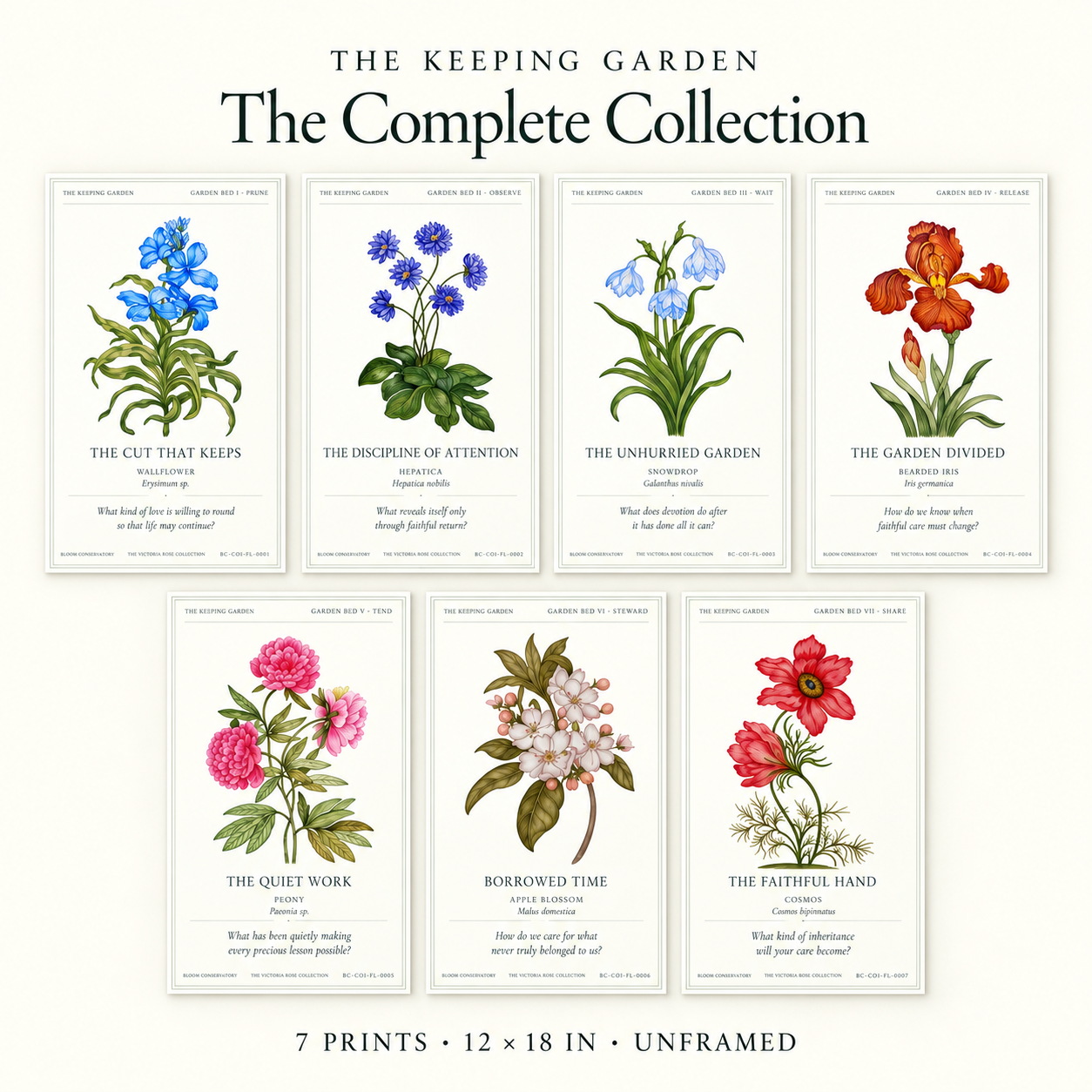 Complete Botanical Collection | Bloom Conservatory
