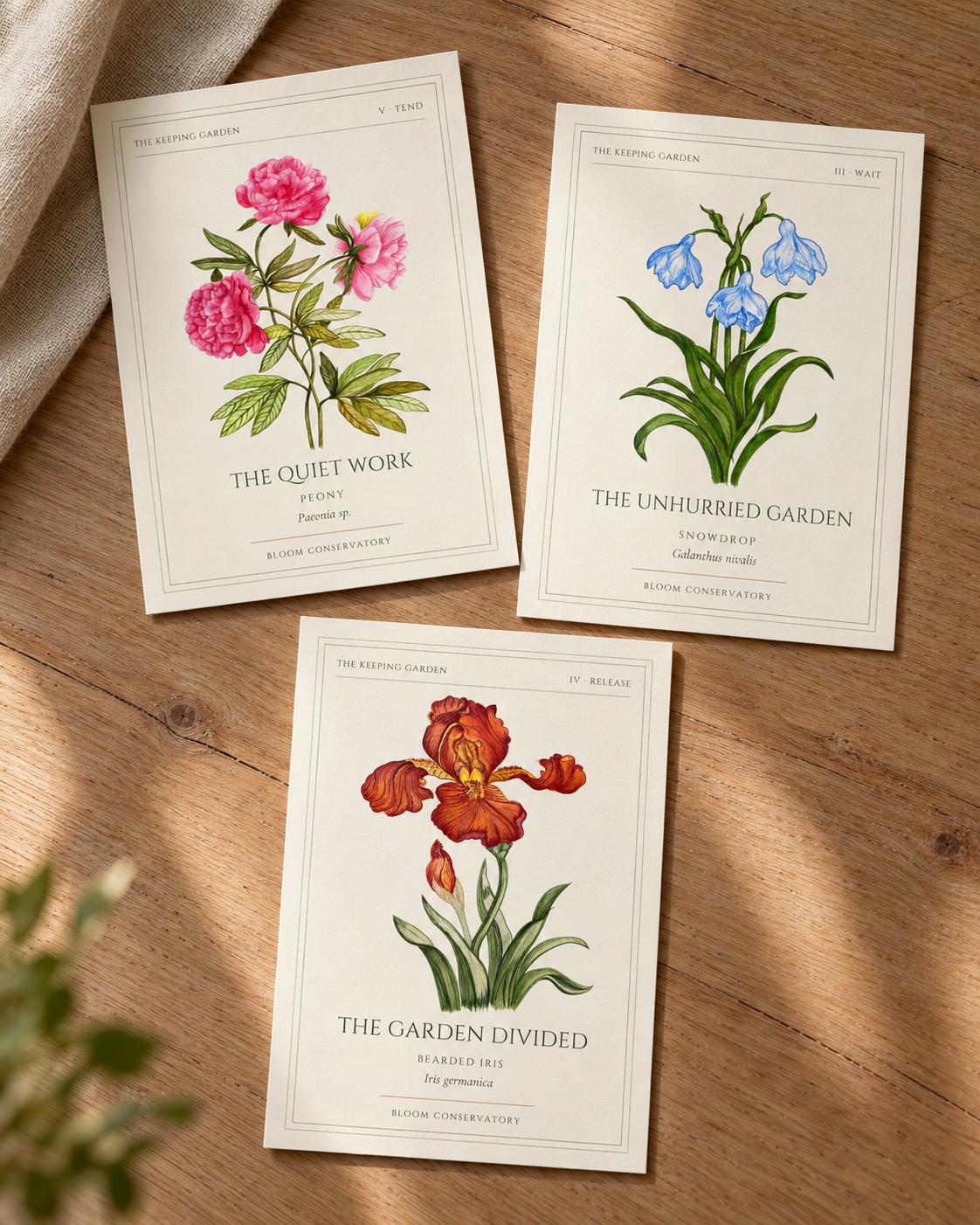 Peony, Snowdrop, and Iris Print Trio.png