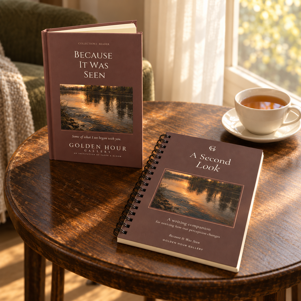 Because It Was Seen — Reader & Writing Companion Set