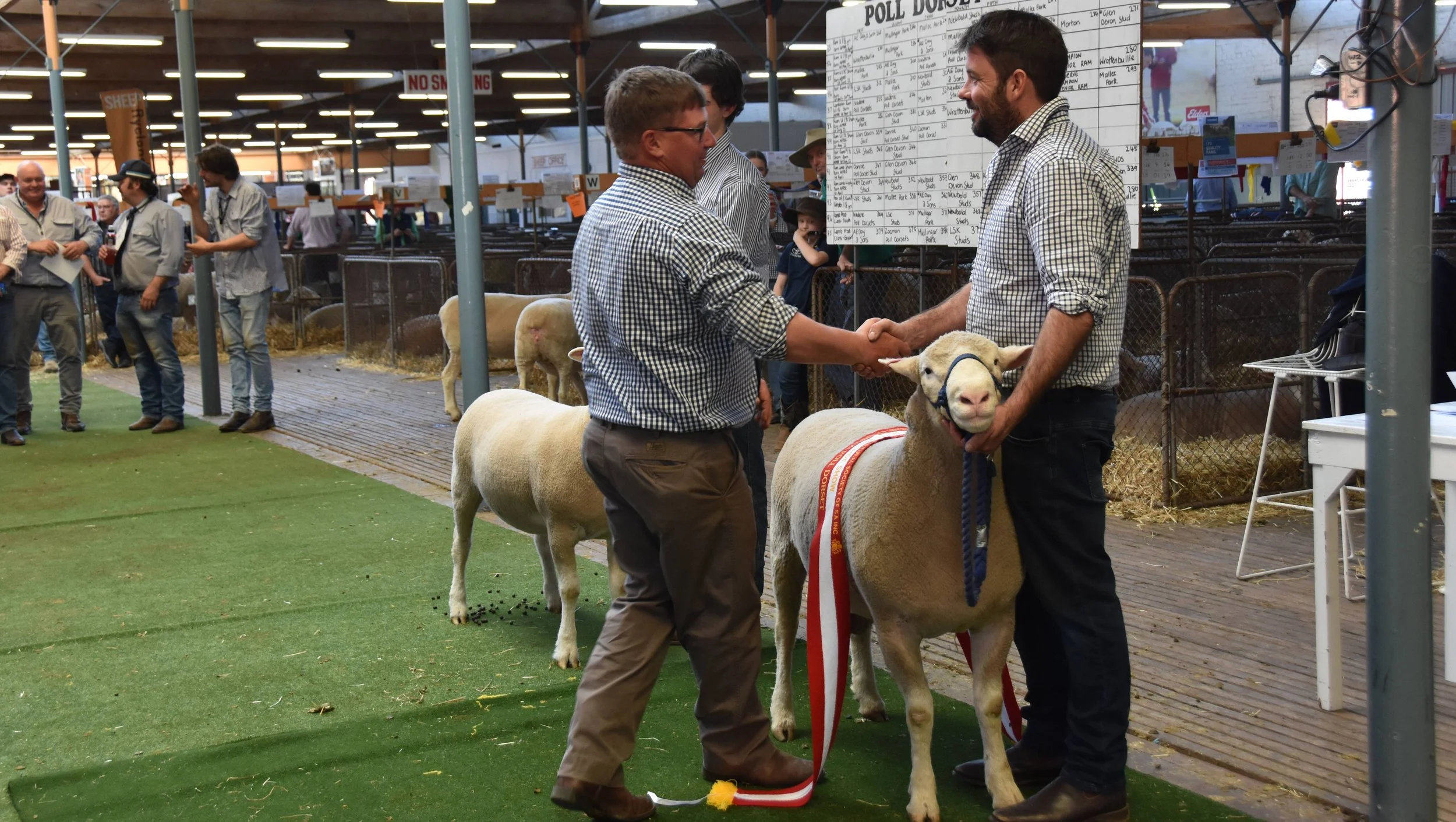 2023_Grand Champion Ram.jpg