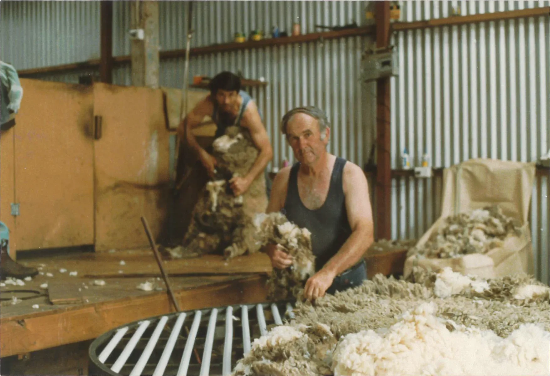 WS_ShearingShed.webp