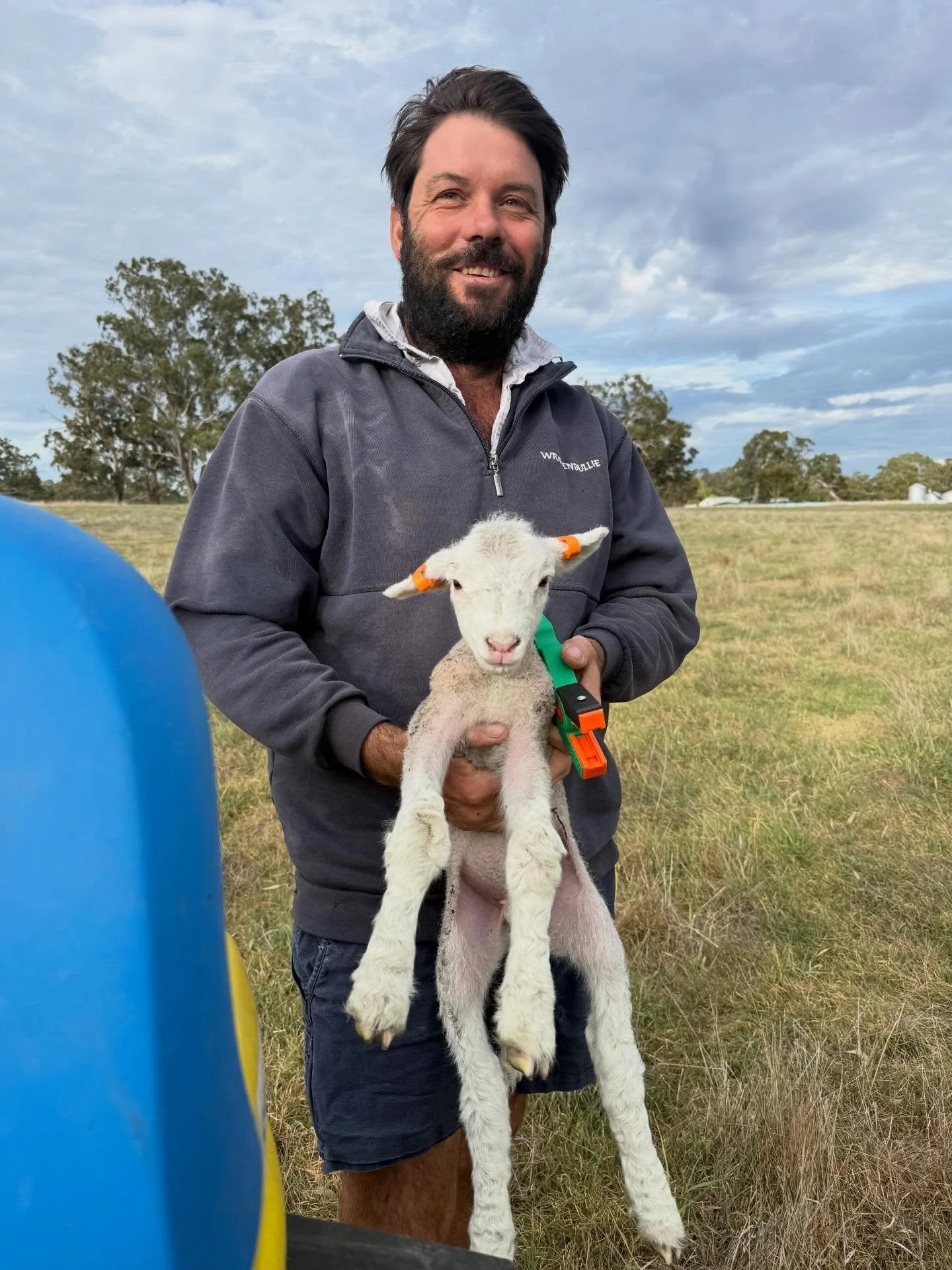 And we’re away #lambing2026 🐑
Three sets of twins, two hat chases in the wind and a seemingly receding hairline 😬