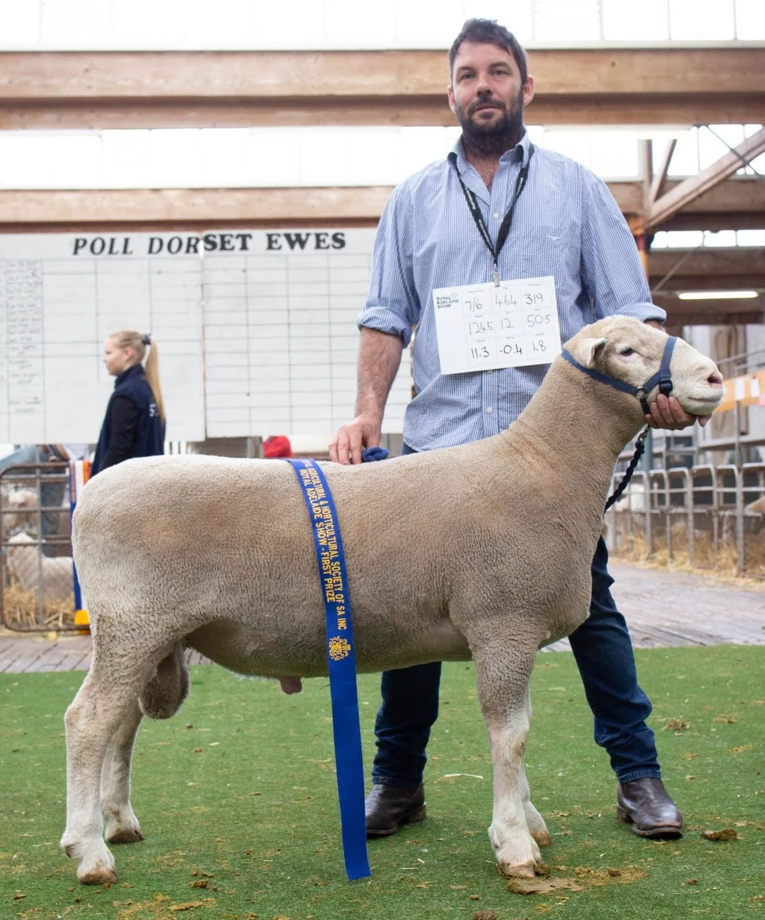 Royal Adelaide Show Poll Dorset Feature Breed Result: Ram under 1.5 years, born on or after 1st June
